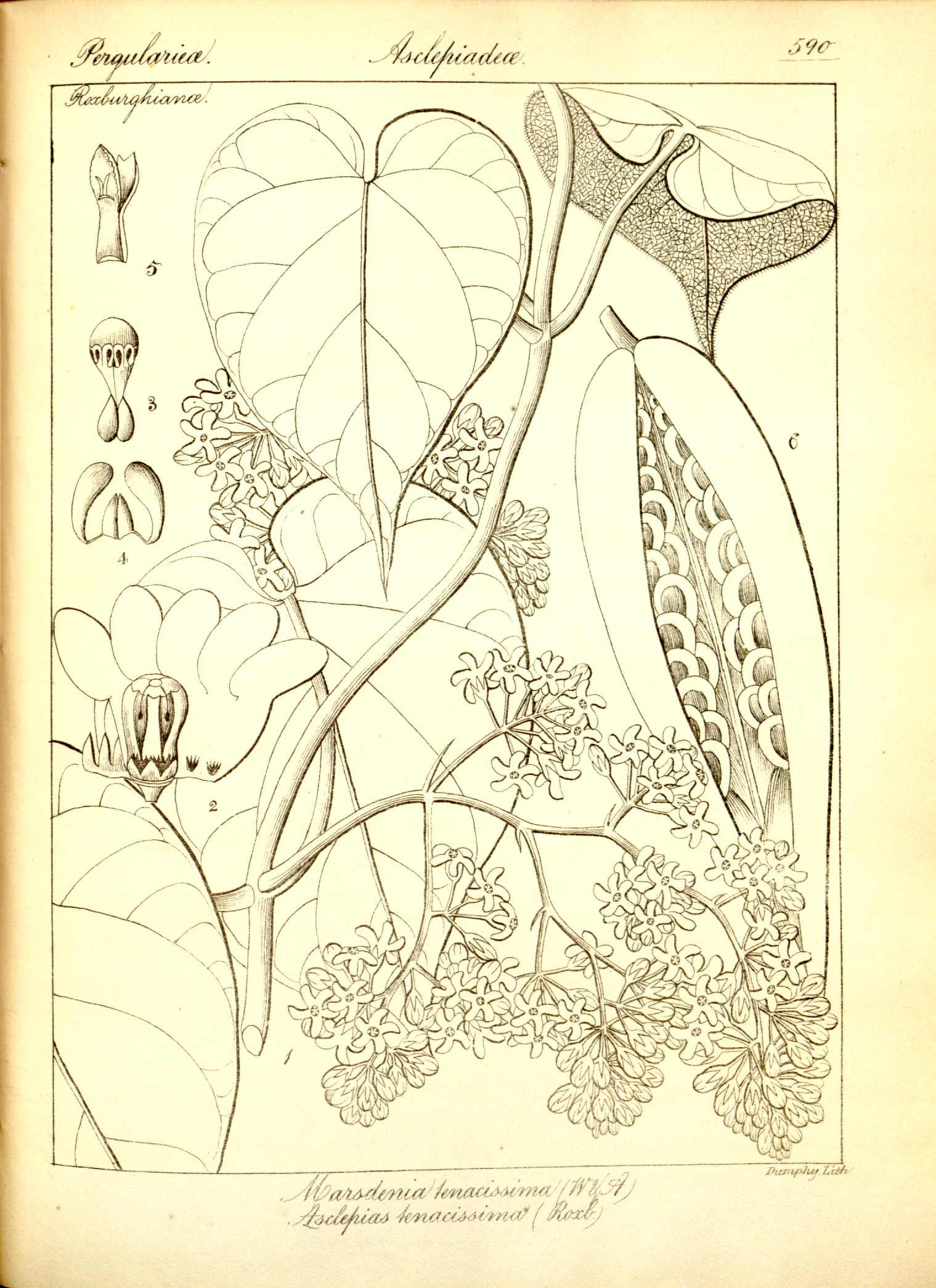 no full size  illustration available (3a)