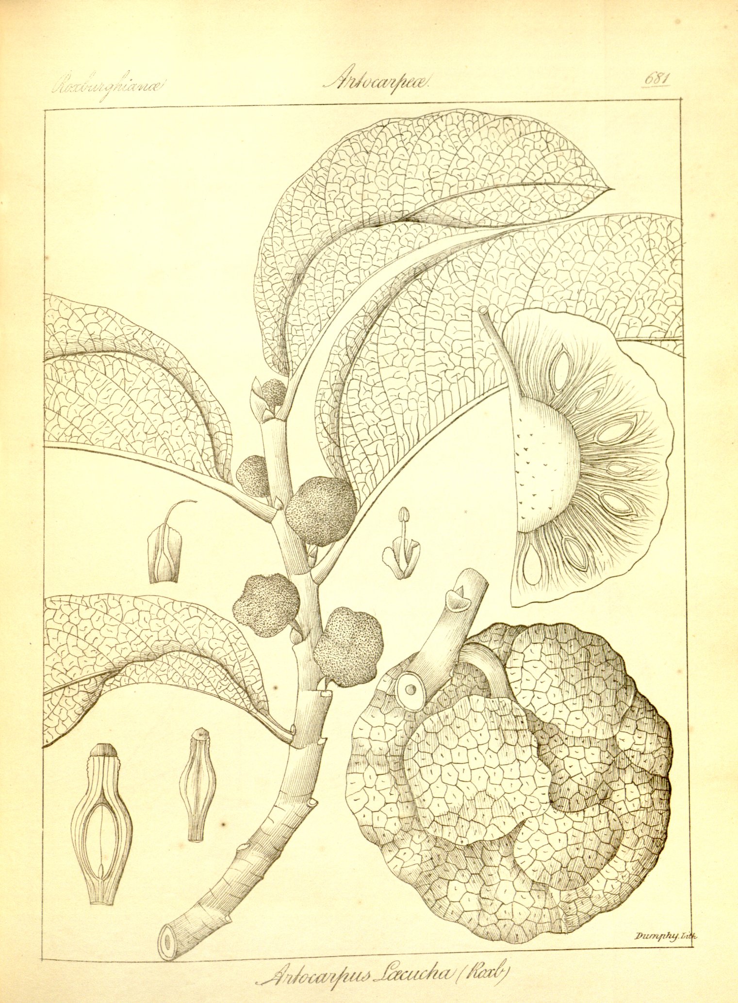 no full size  illustration available (3a)