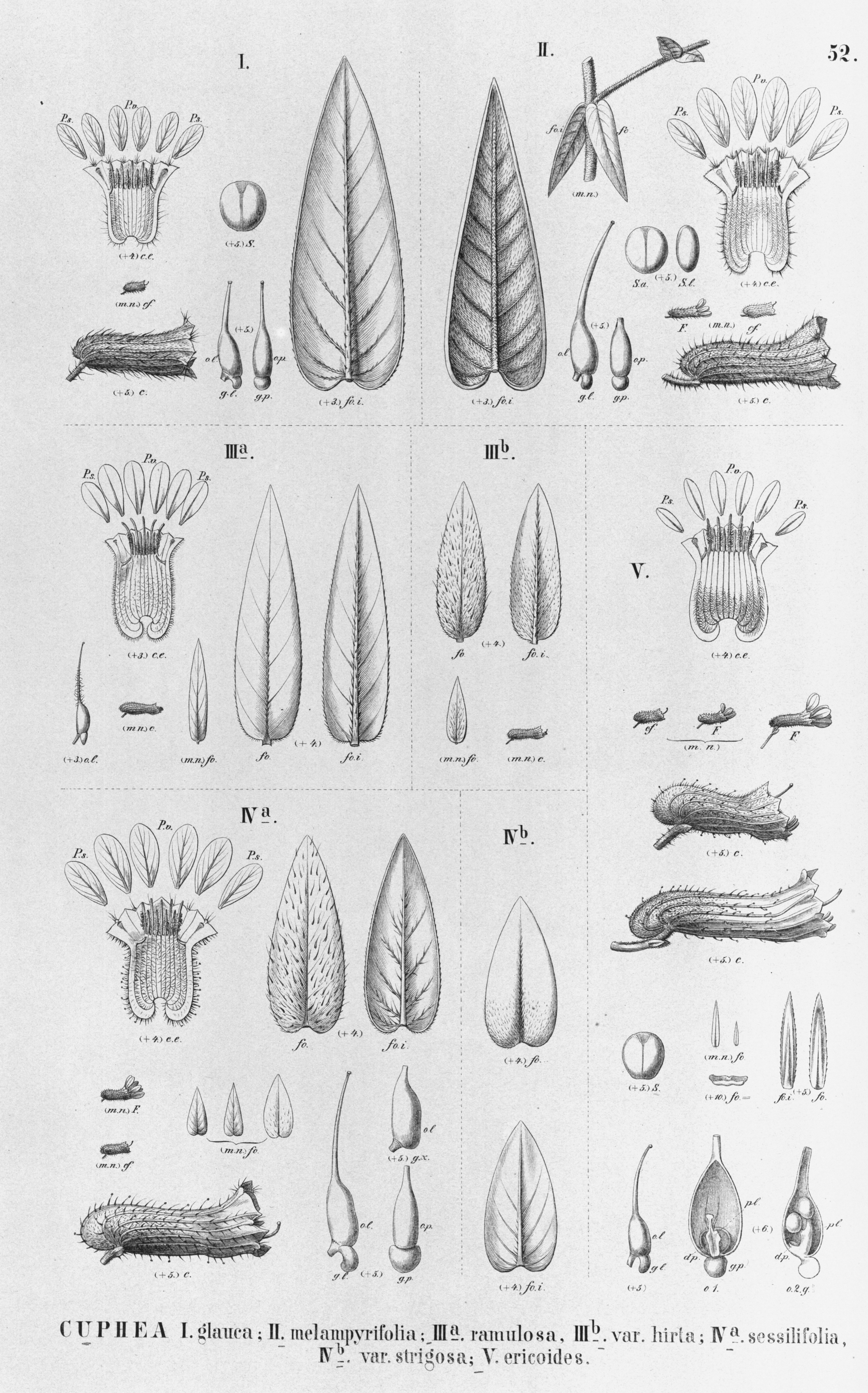 no full size  illustration available (3a)