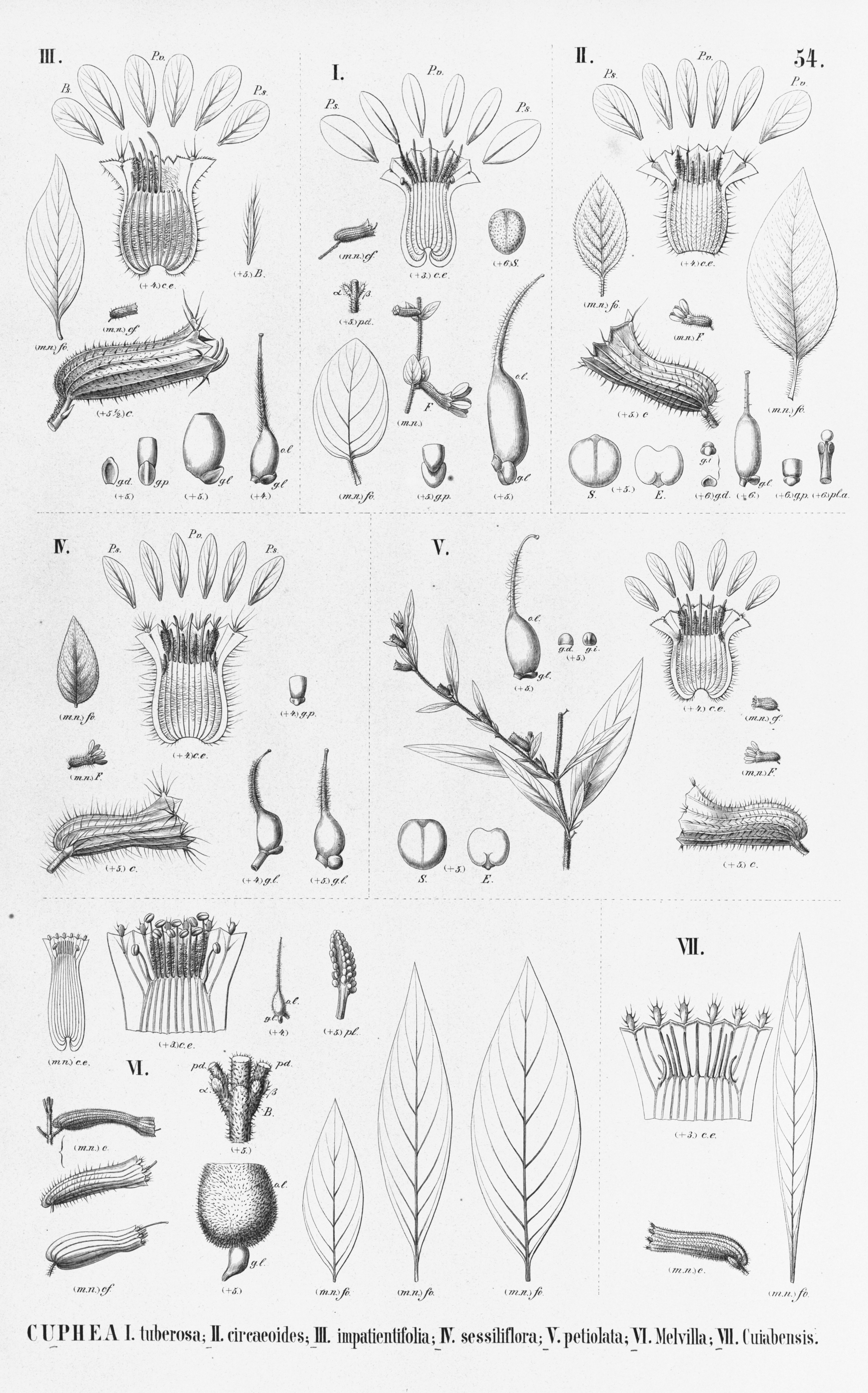 no full size  illustration available (3a)