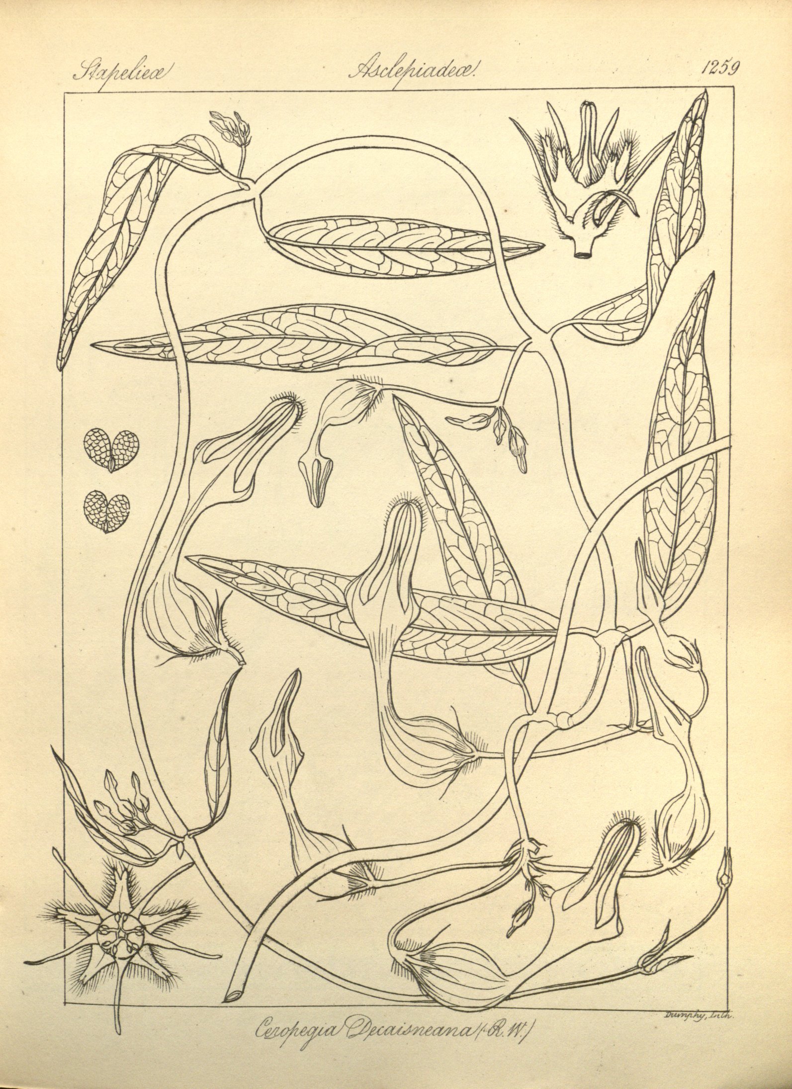 no full size  illustration available (3a)