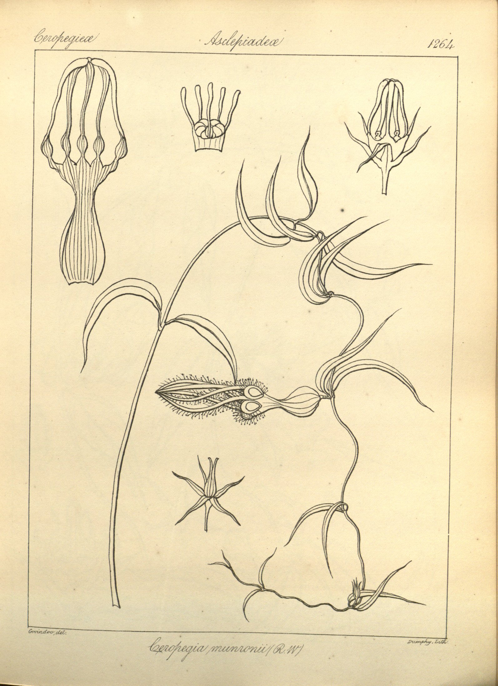 no full size  illustration available (3a)