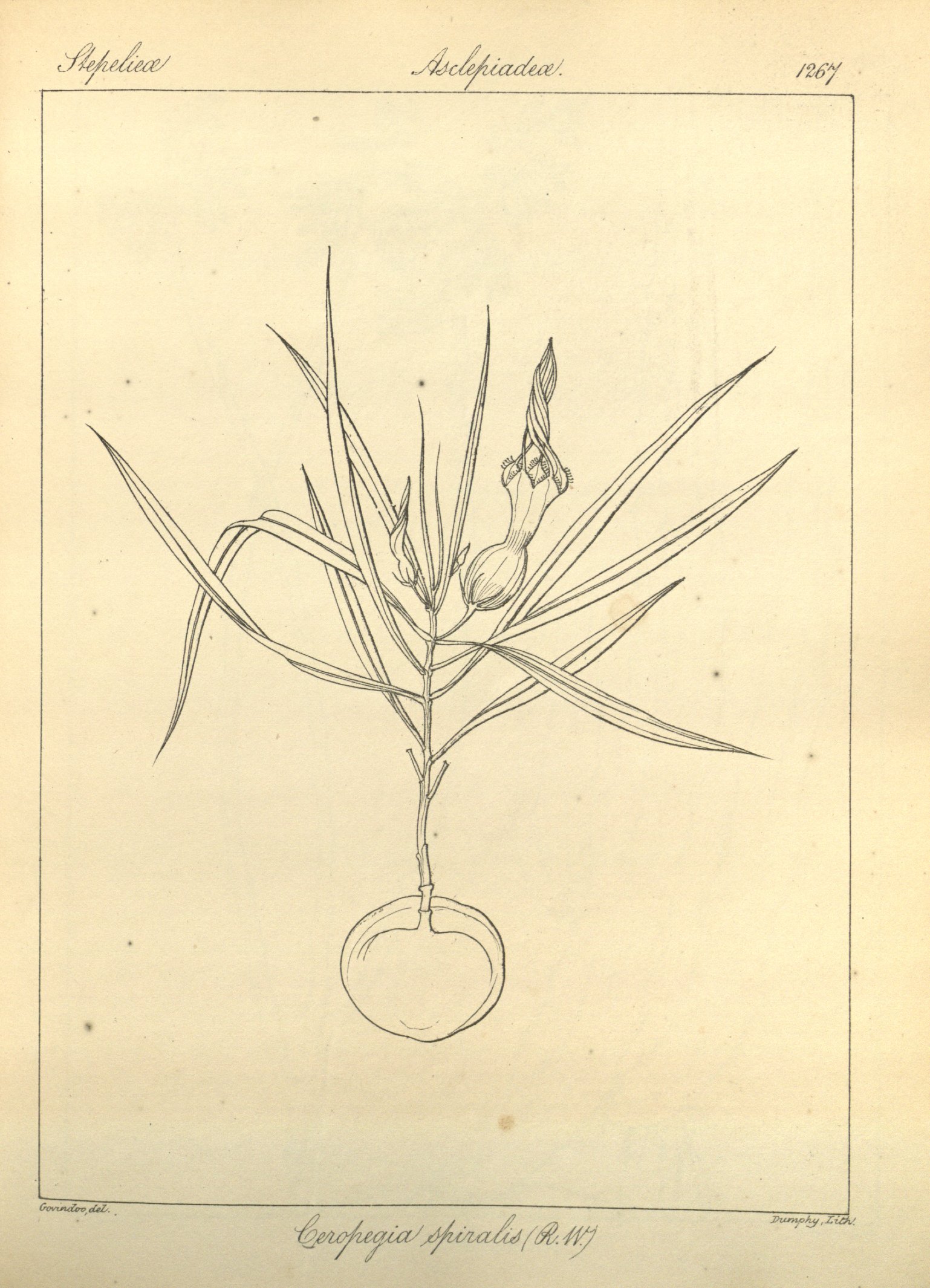 no full size  illustration available (3a)