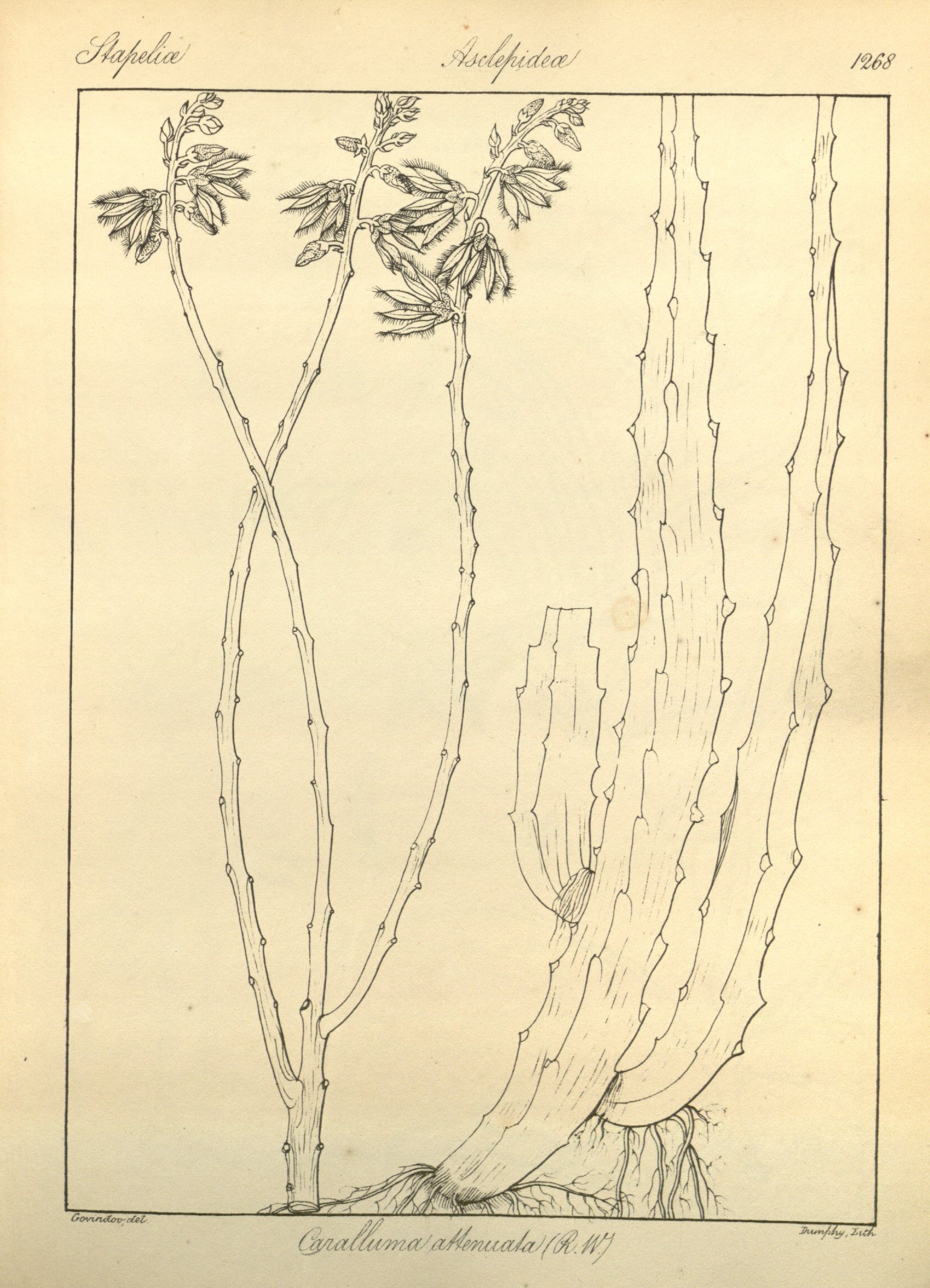 no full size  illustration available (3a)