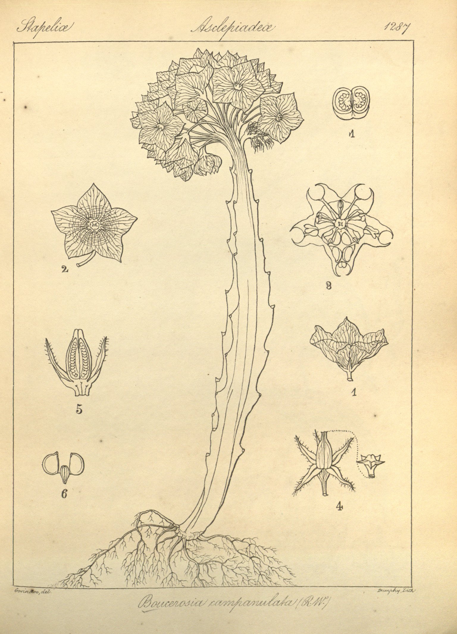 no full size  illustration available (3a)