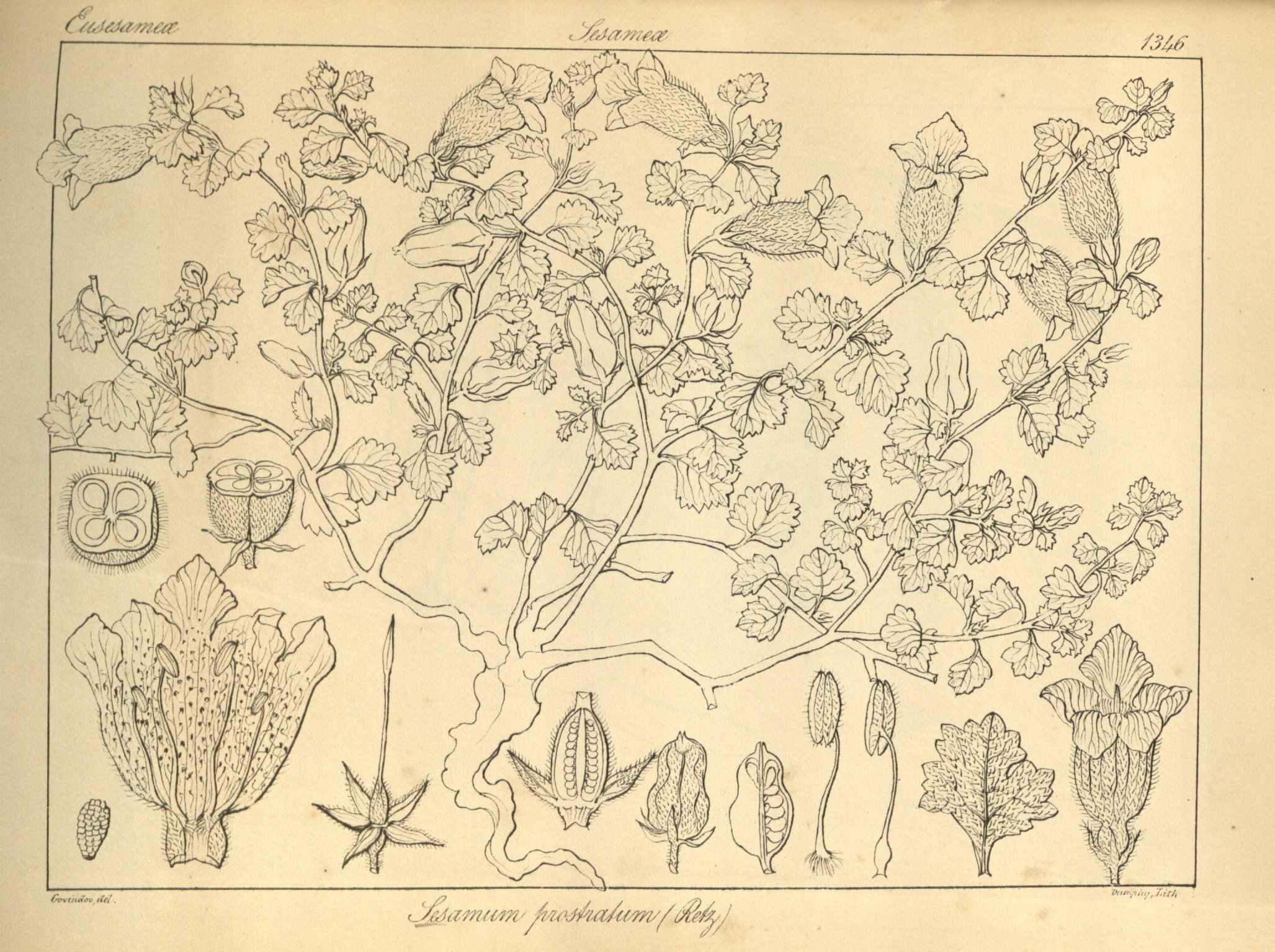 no full size  illustration available (3a)