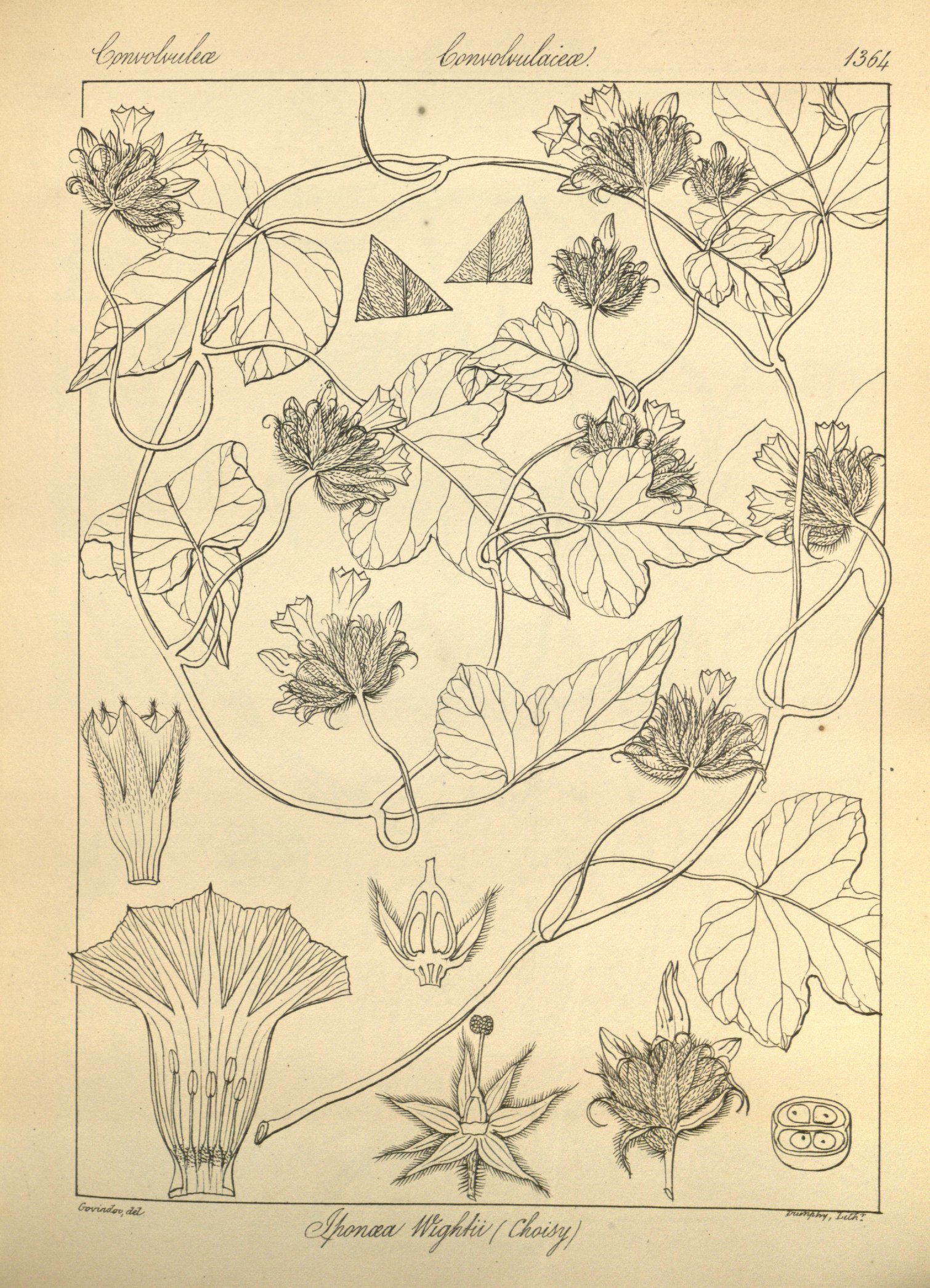 no full size  illustration available (3a)