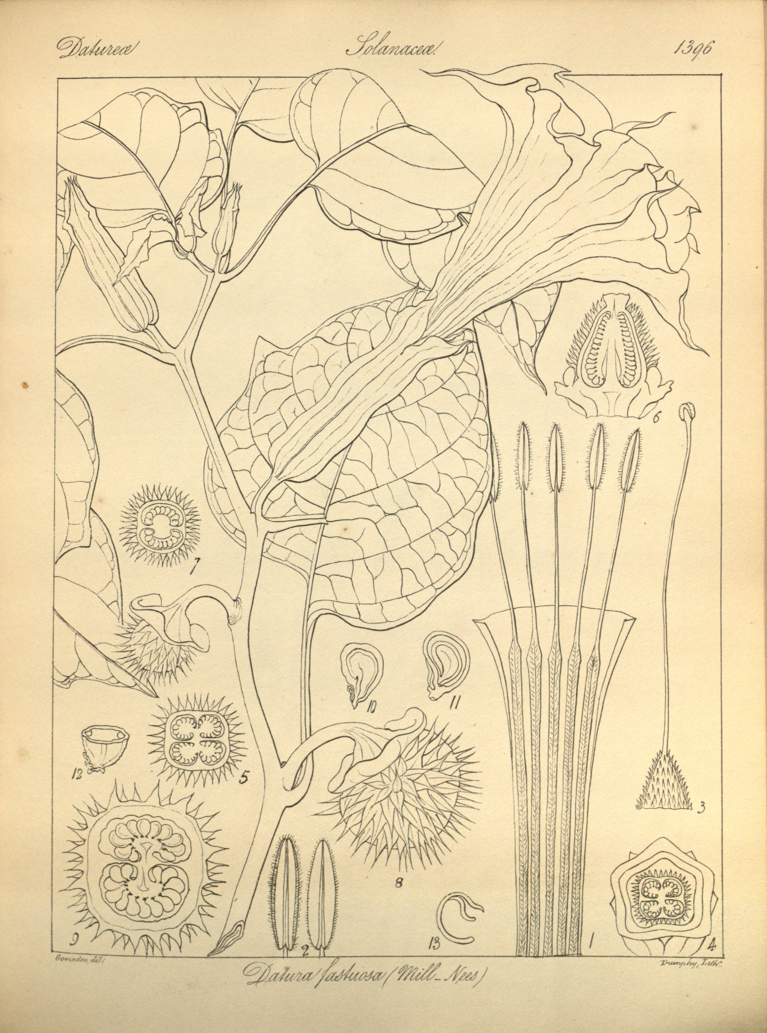 no full size  illustration available (3a)