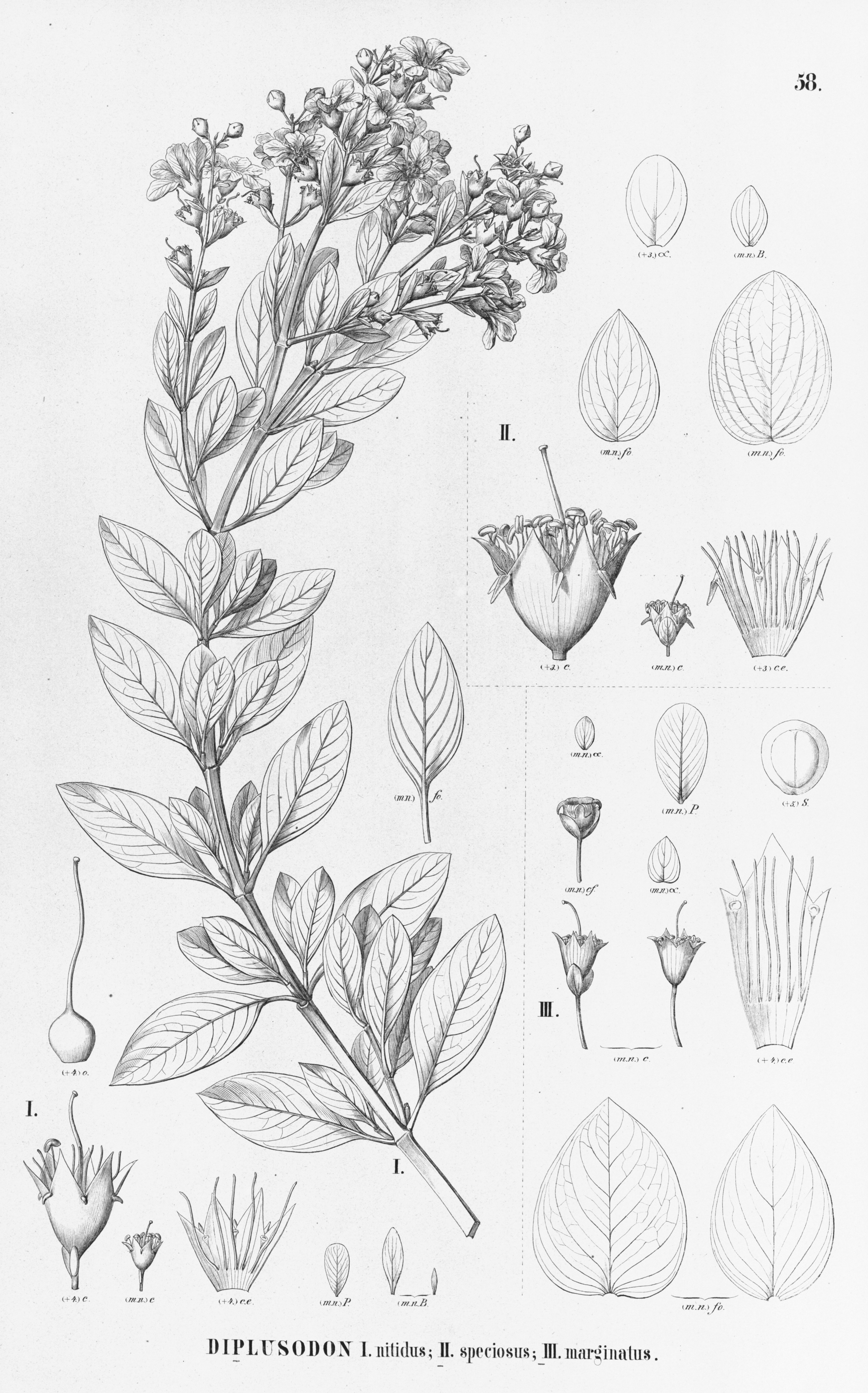 no full size  illustration available (3a)