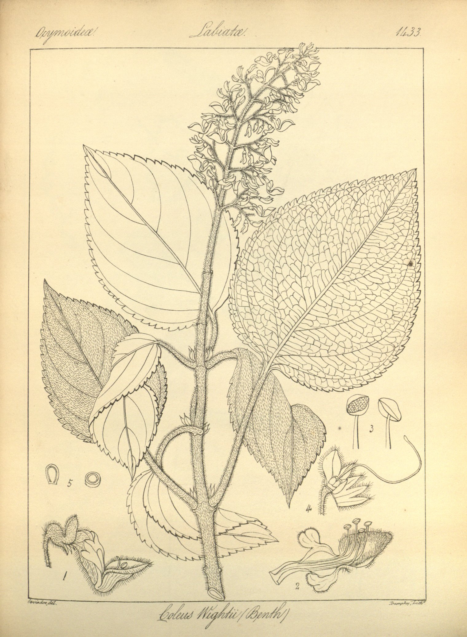 no full size  illustration available (3a)