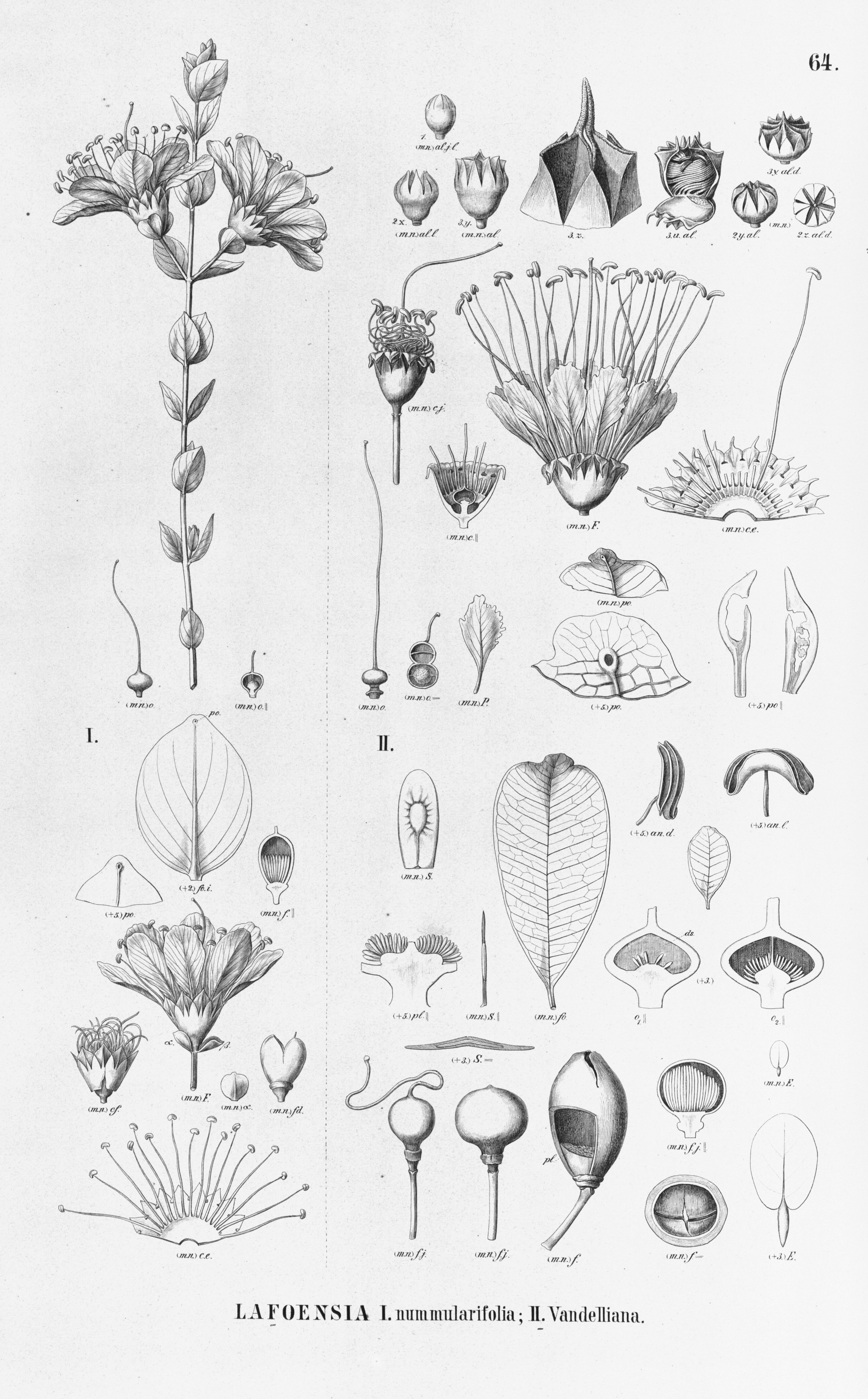 no full size  illustration available (3a)