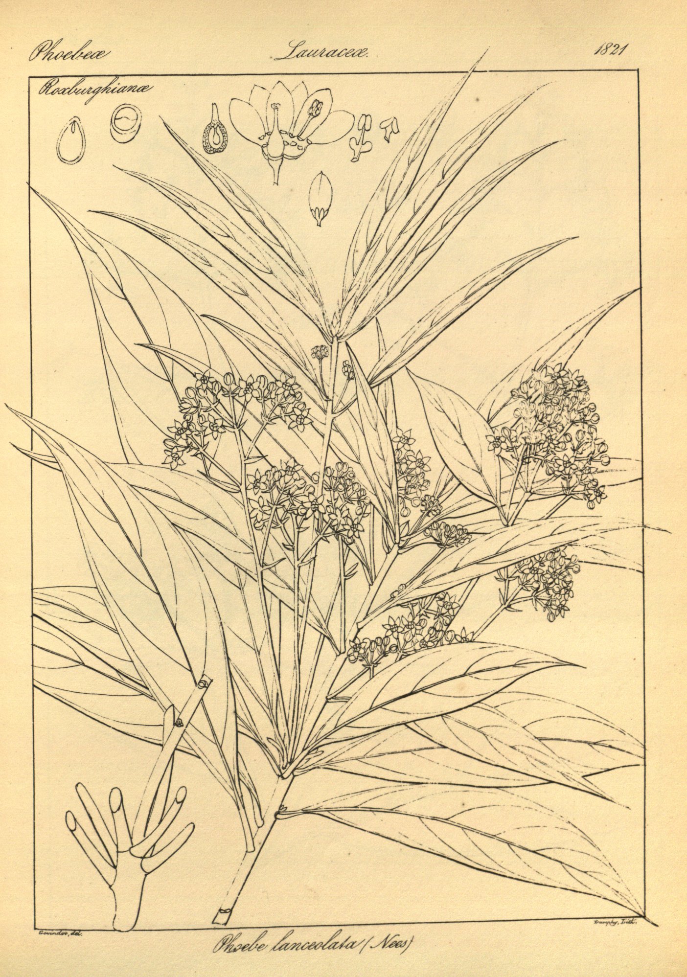 no full size  illustration available (3a)