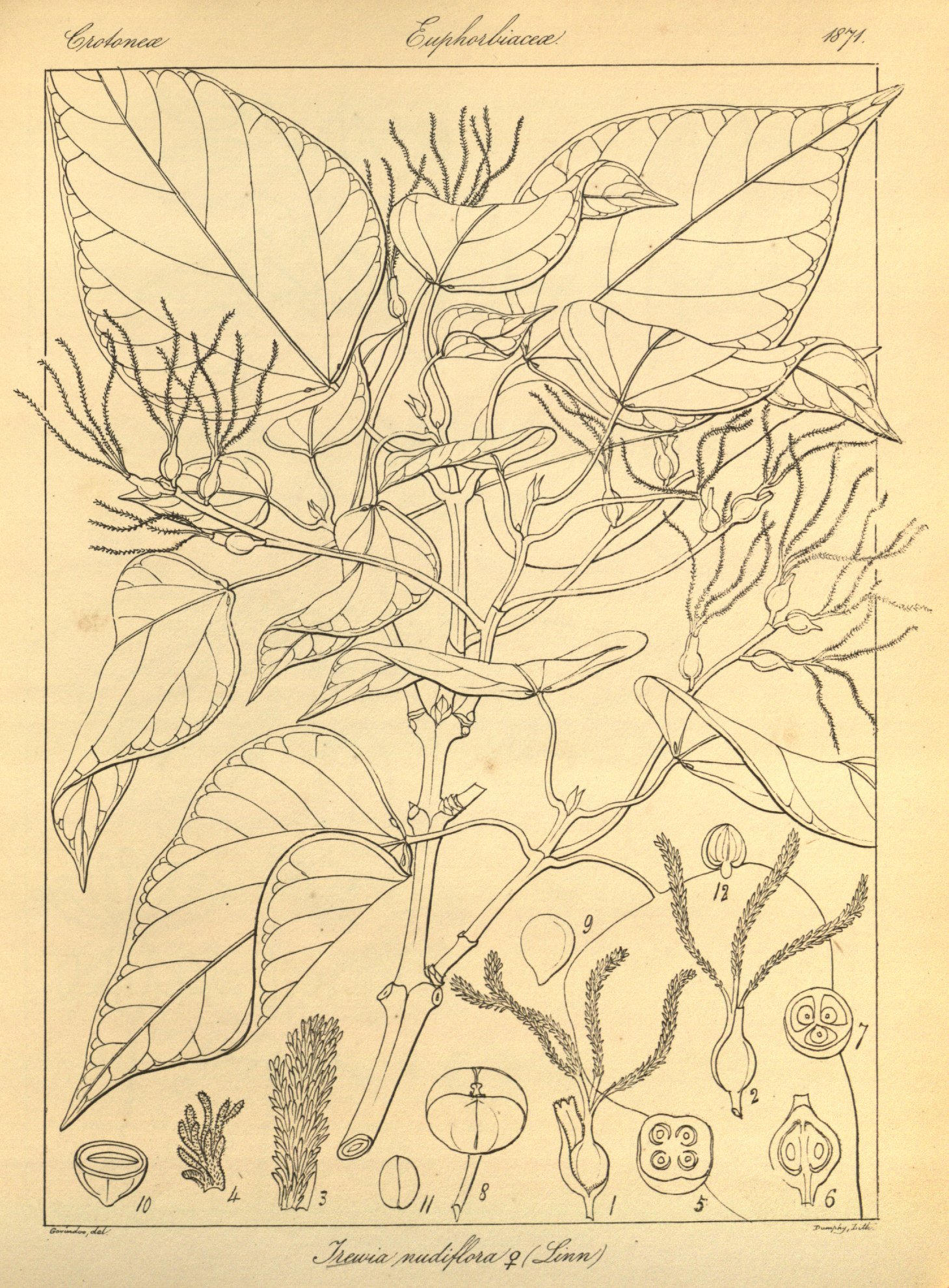 no full size  illustration available (3a)