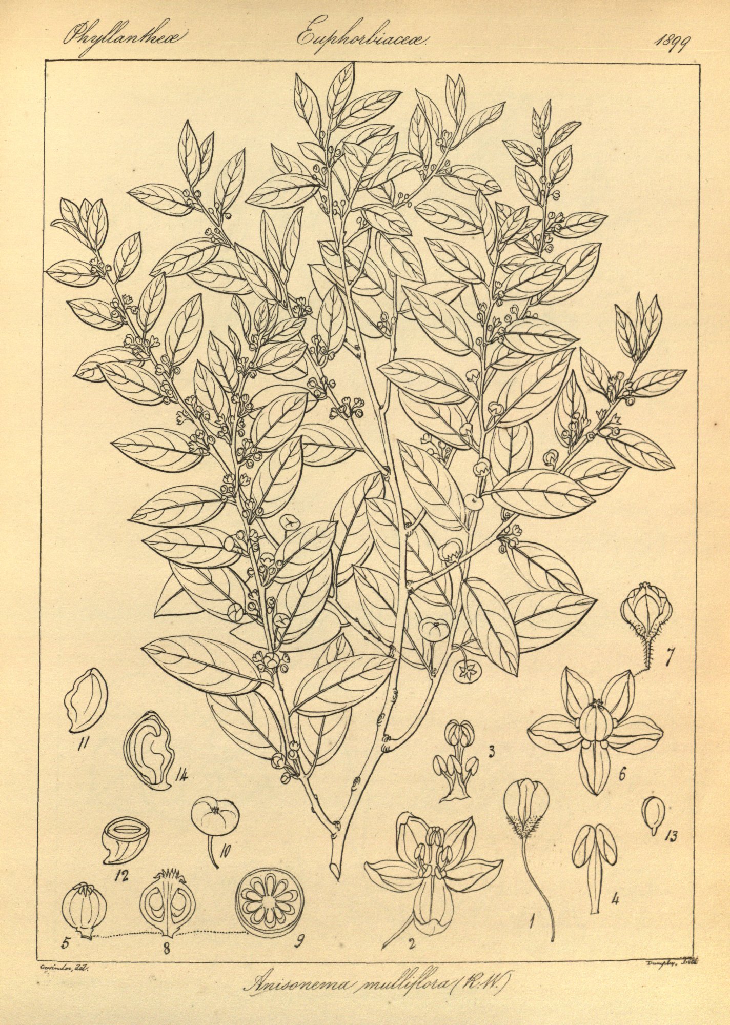 no full size  illustration available (3a)