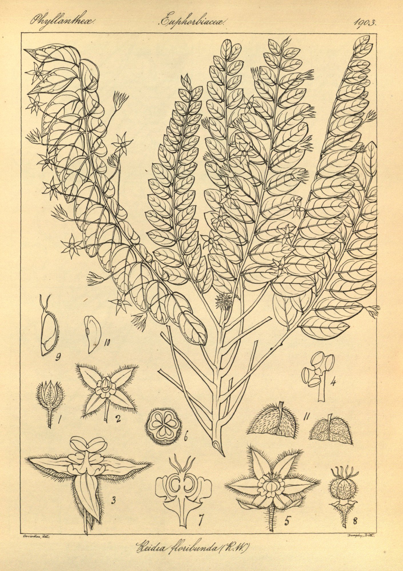 no full size  illustration available (3a)