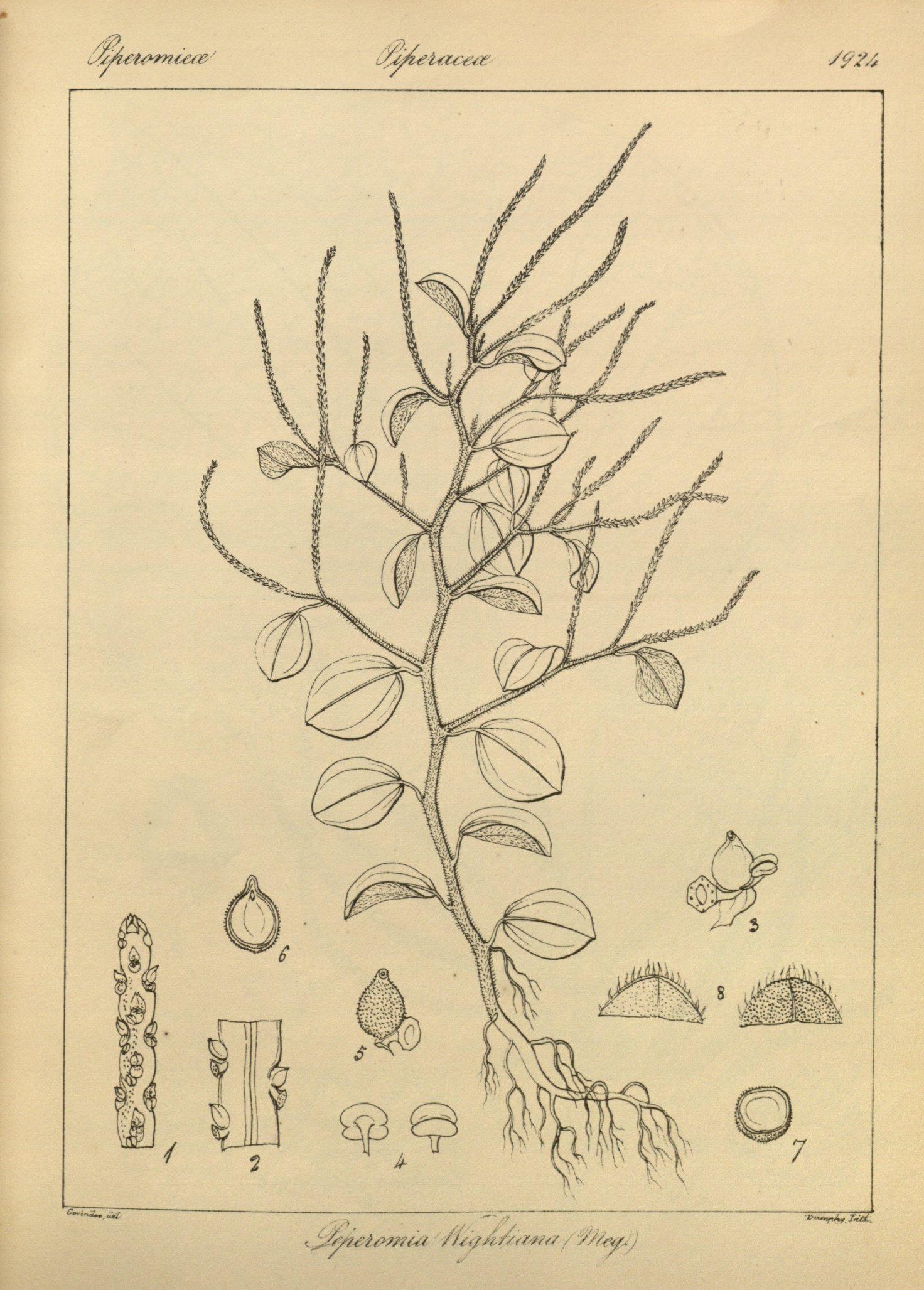 no full size  illustration available (3a)