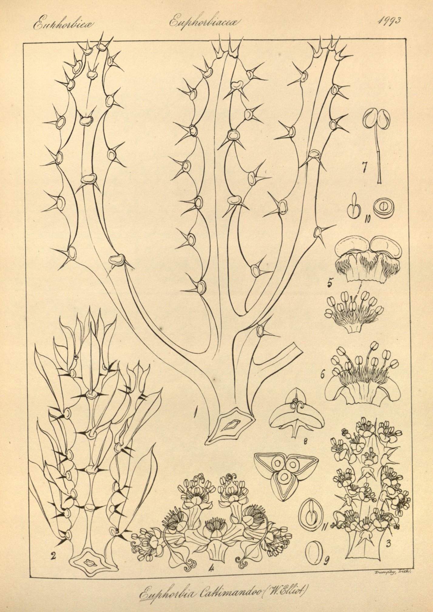 no full size  illustration available (3a)