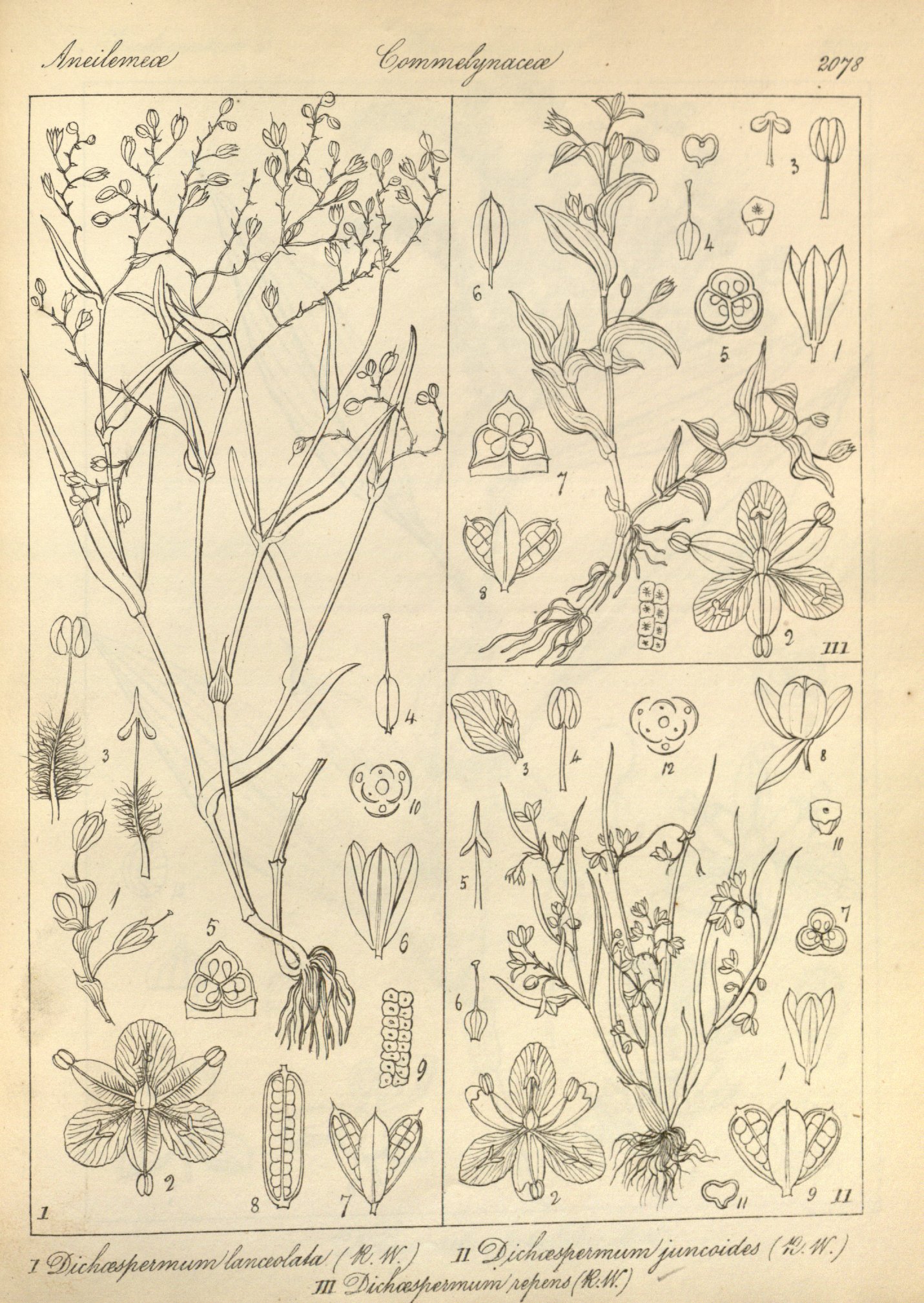 no full size  illustration available (3a)