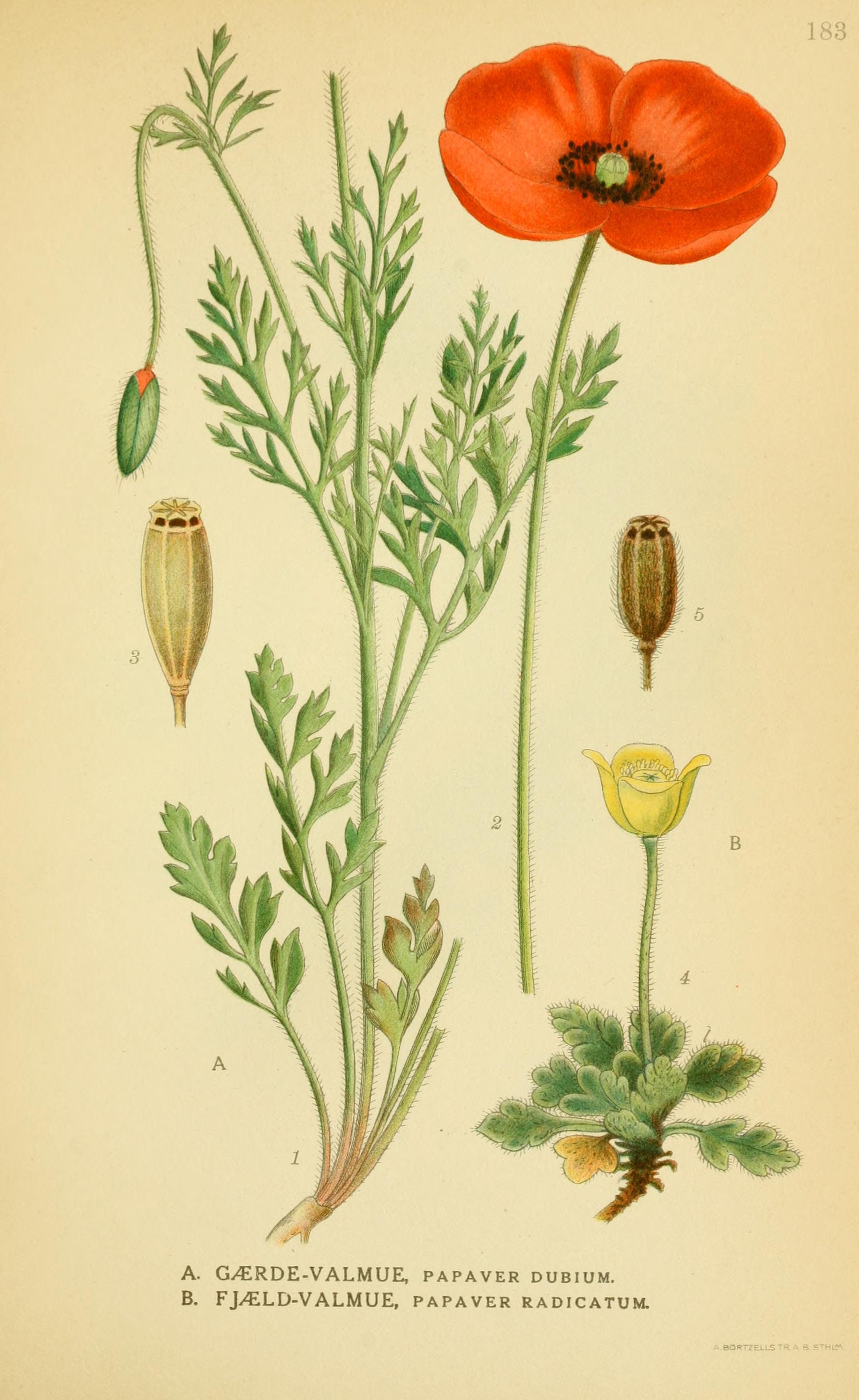 no full size  illustration available (3a)