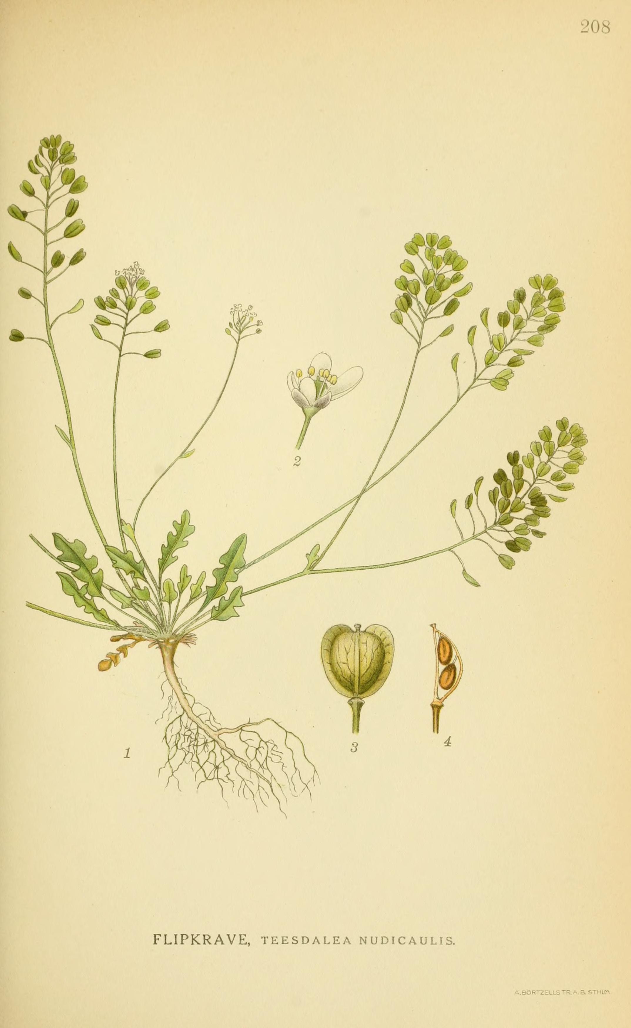 no full size  illustration available (3a)