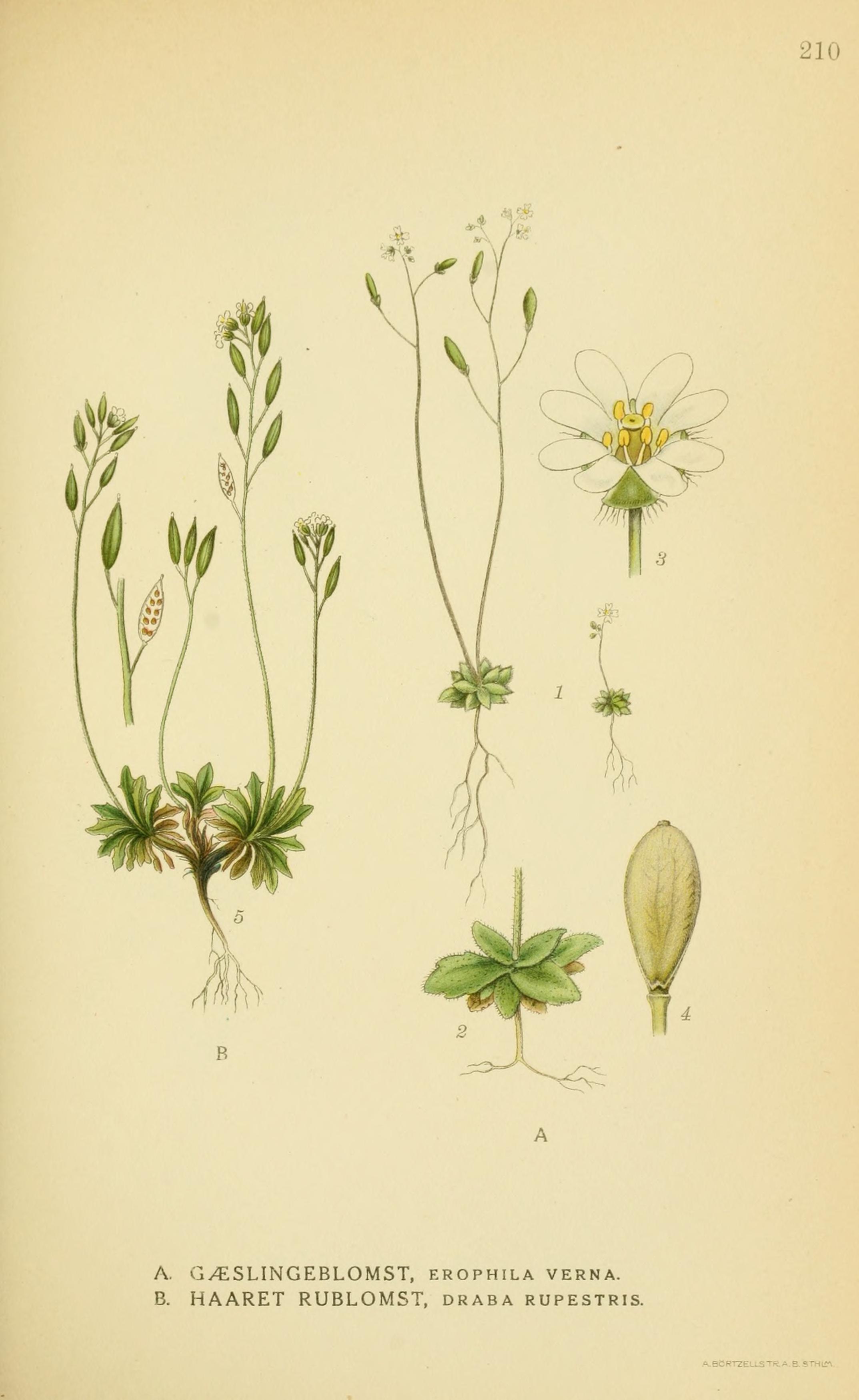 no full size  illustration available (3a)