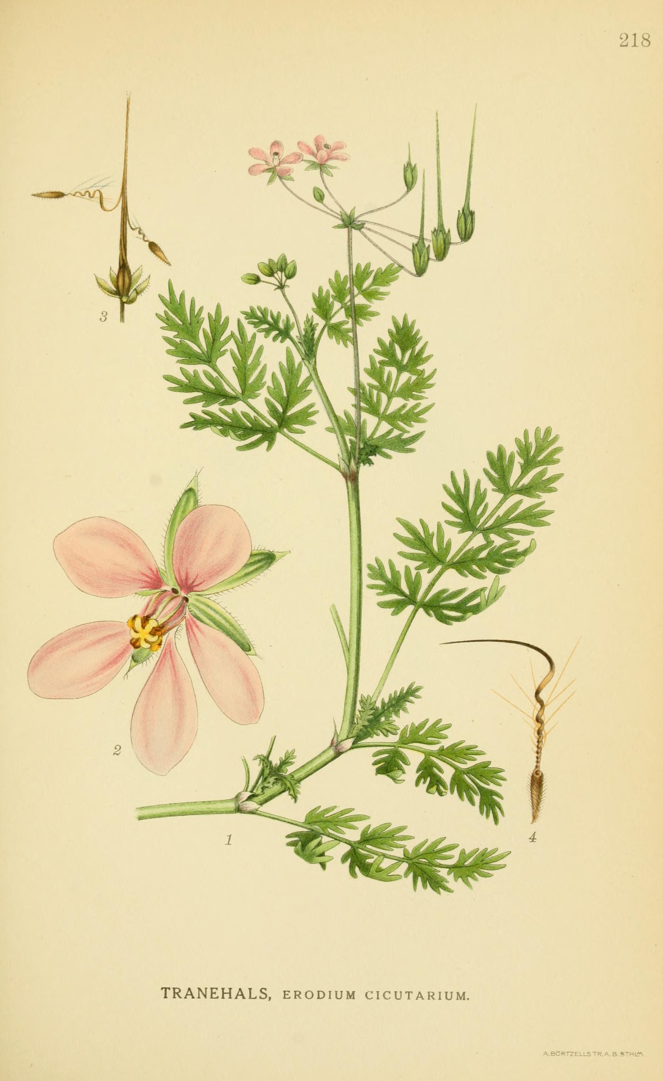 no full size  illustration available (3a)