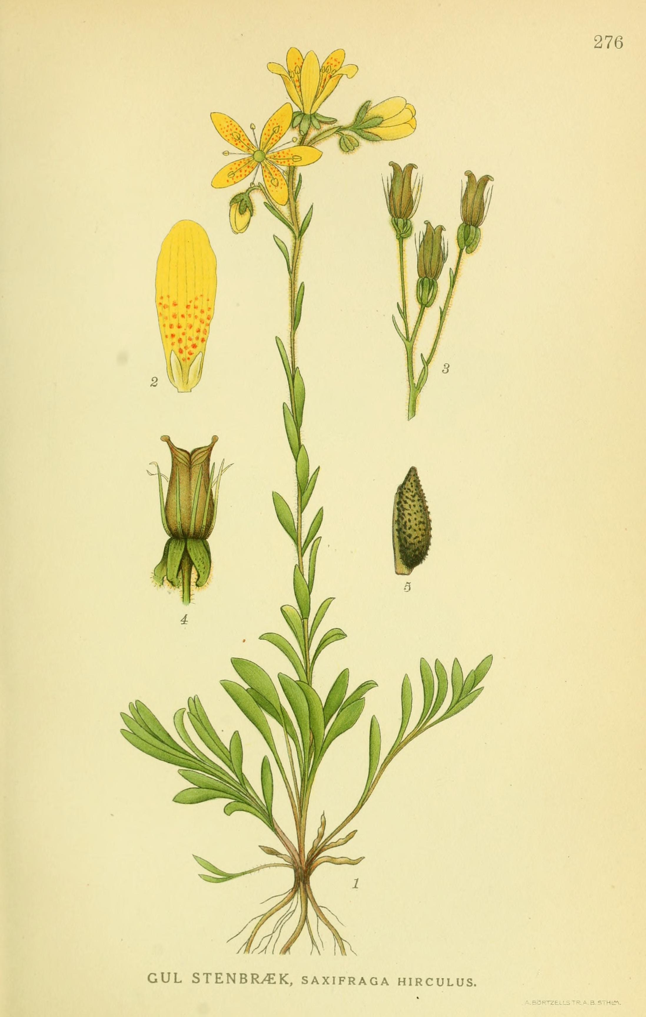 no full size  illustration available (3a)