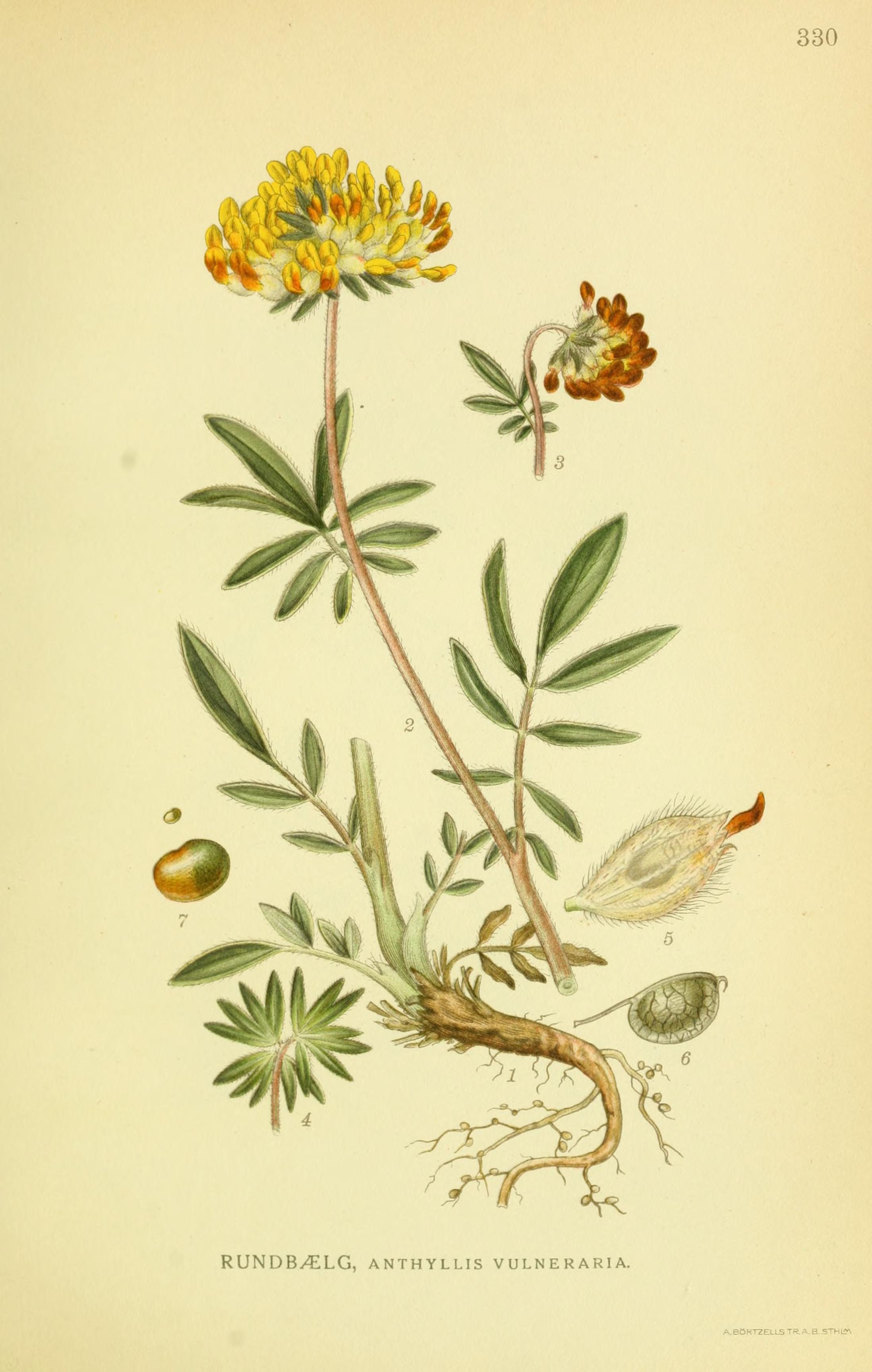 no full size  illustration available (3a)