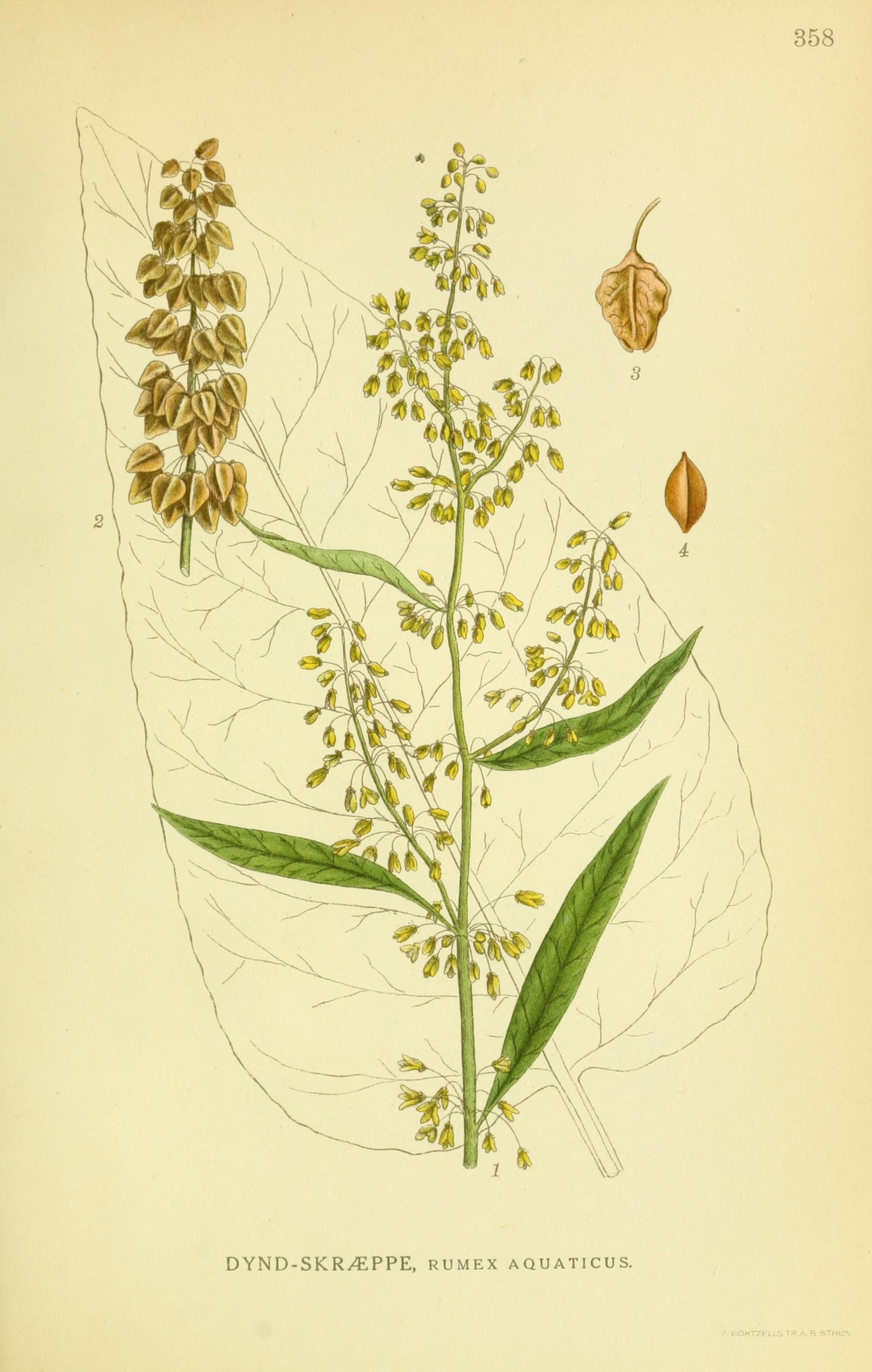 no full size  illustration available (3a)