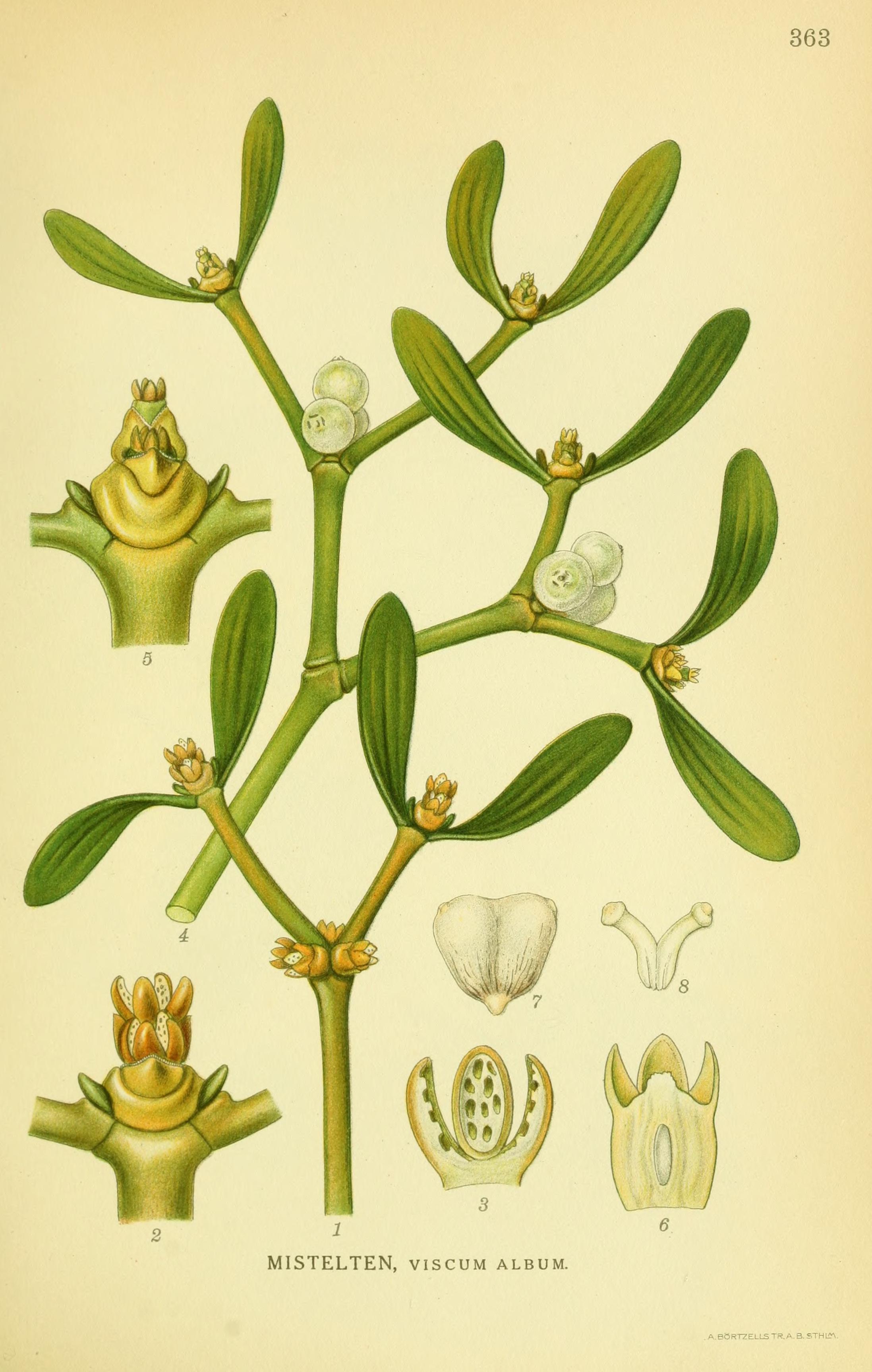 no full size  illustration available (3a)