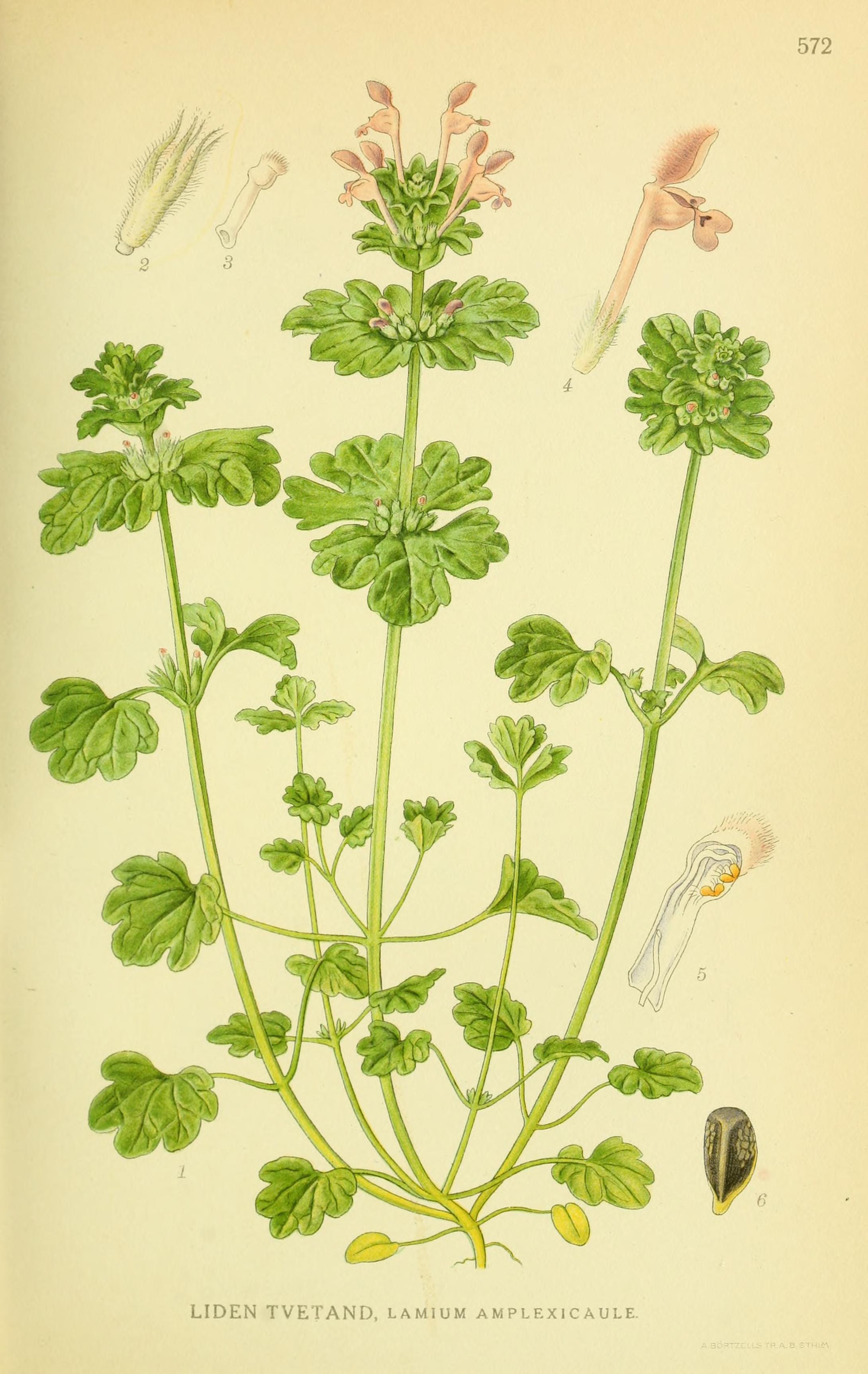 no full size  illustration available (3a)