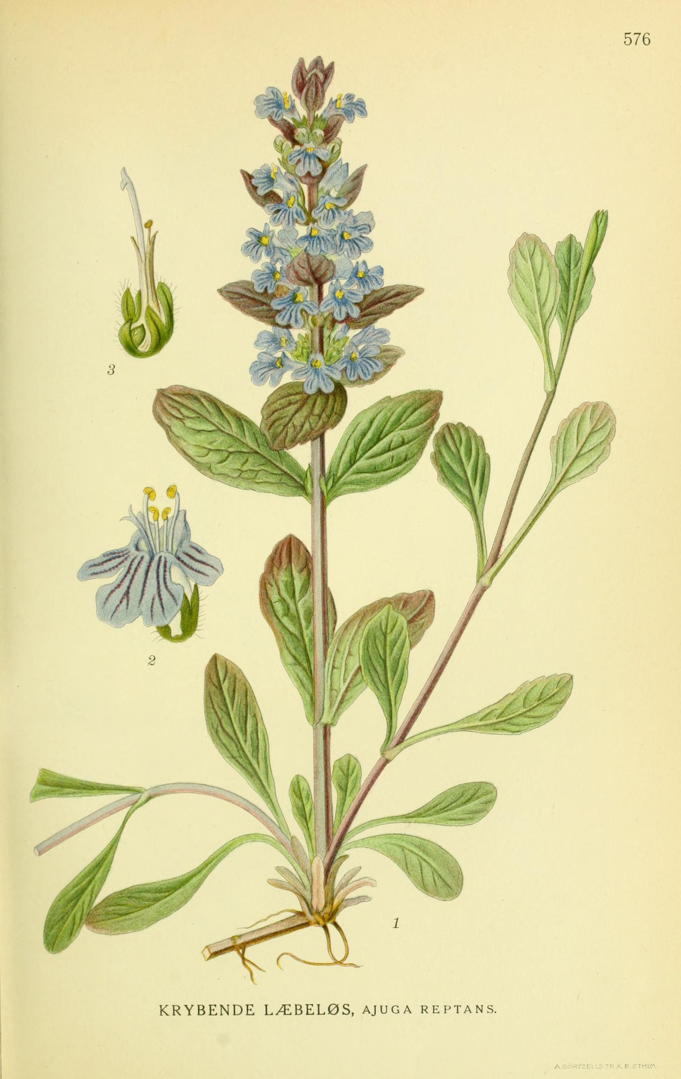 no full size  illustration available (3a)