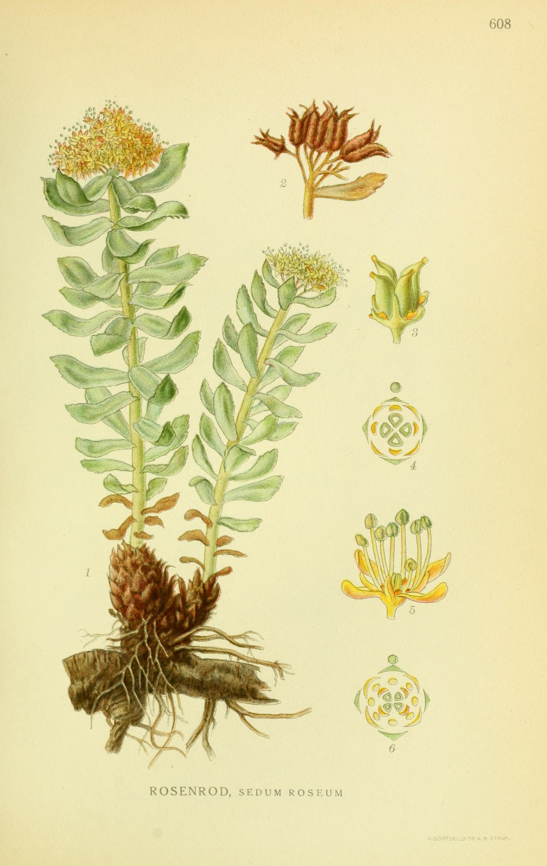 no full size  illustration available (3a)