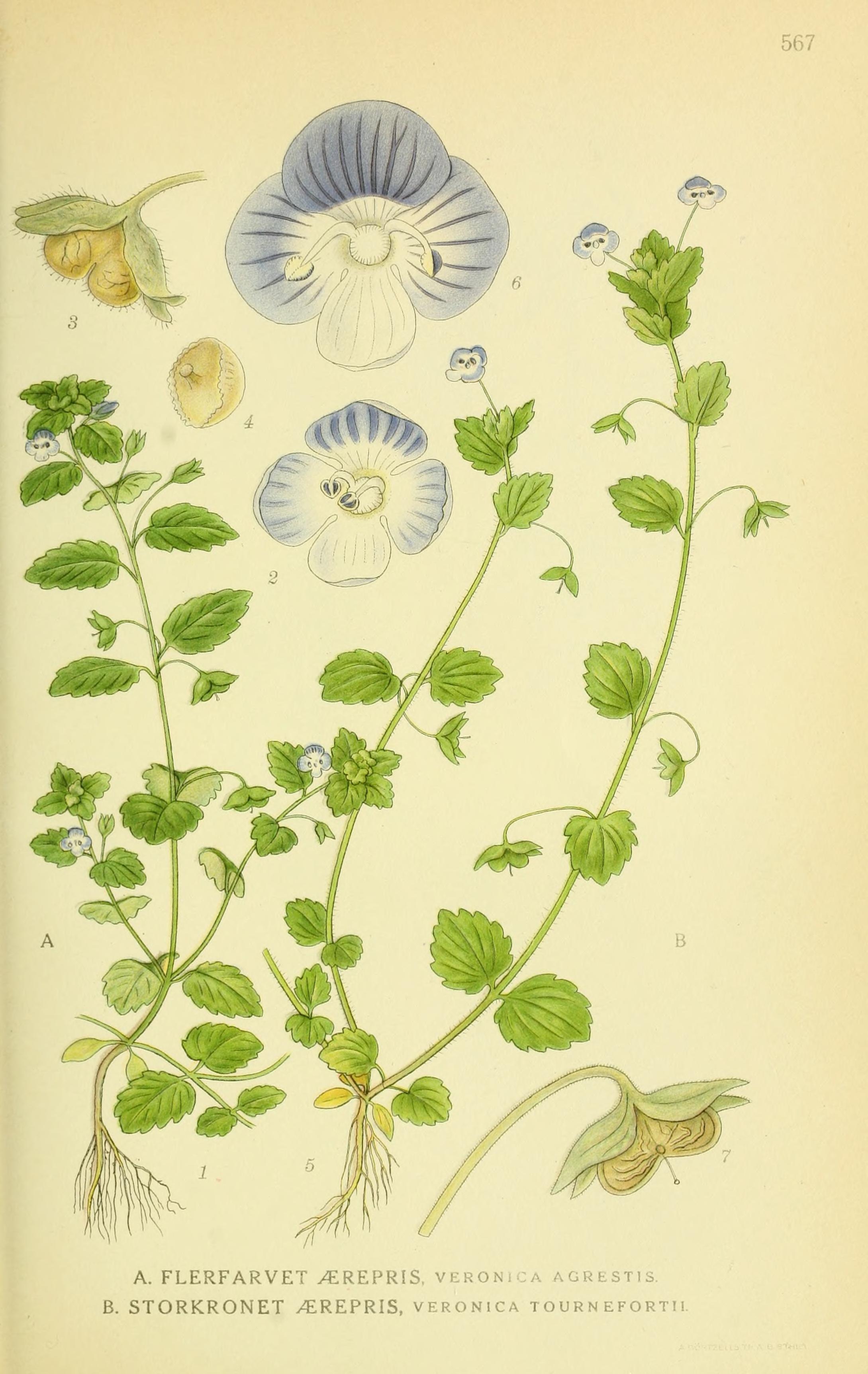 no full size  illustration available (3a)