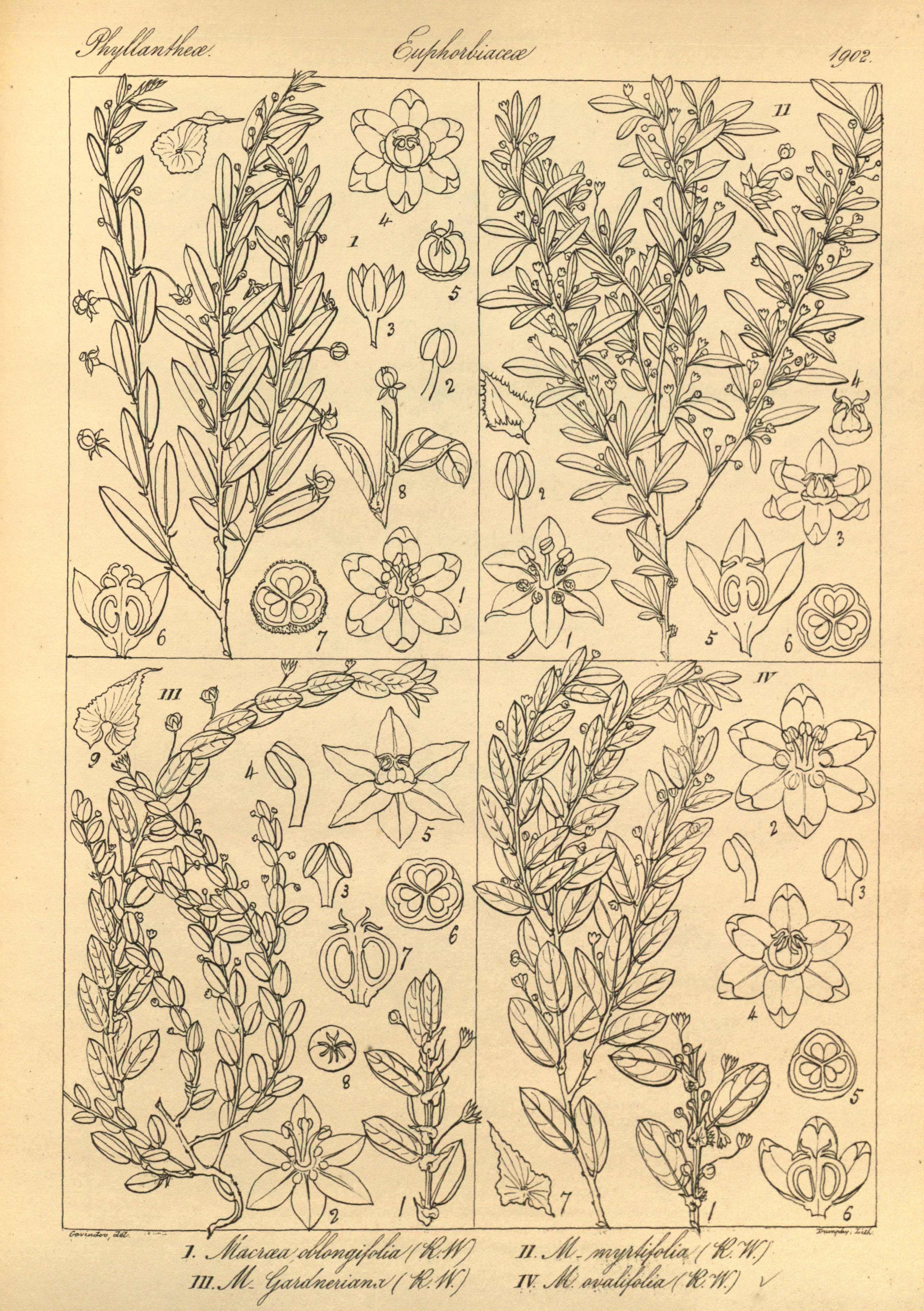 no full size  illustration available (3a)