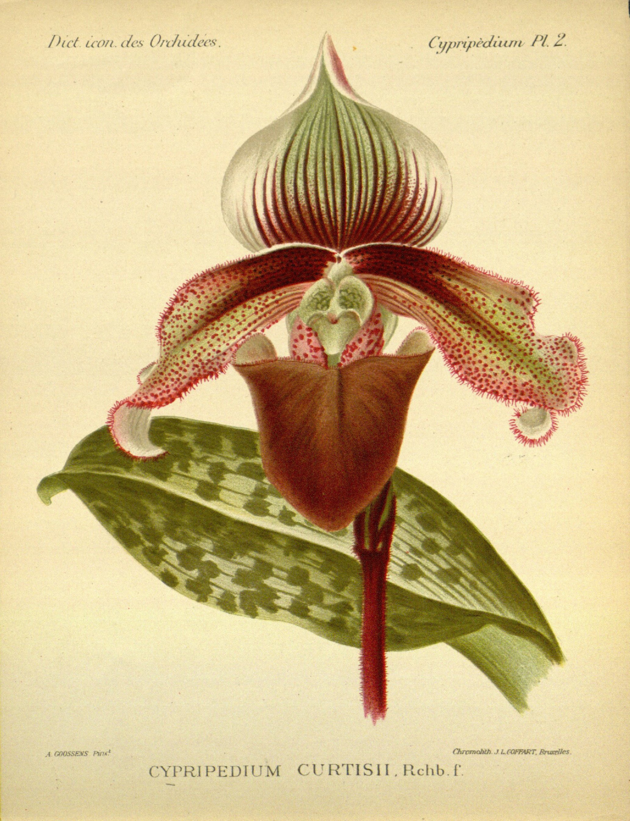 no full size  illustration available (3a)