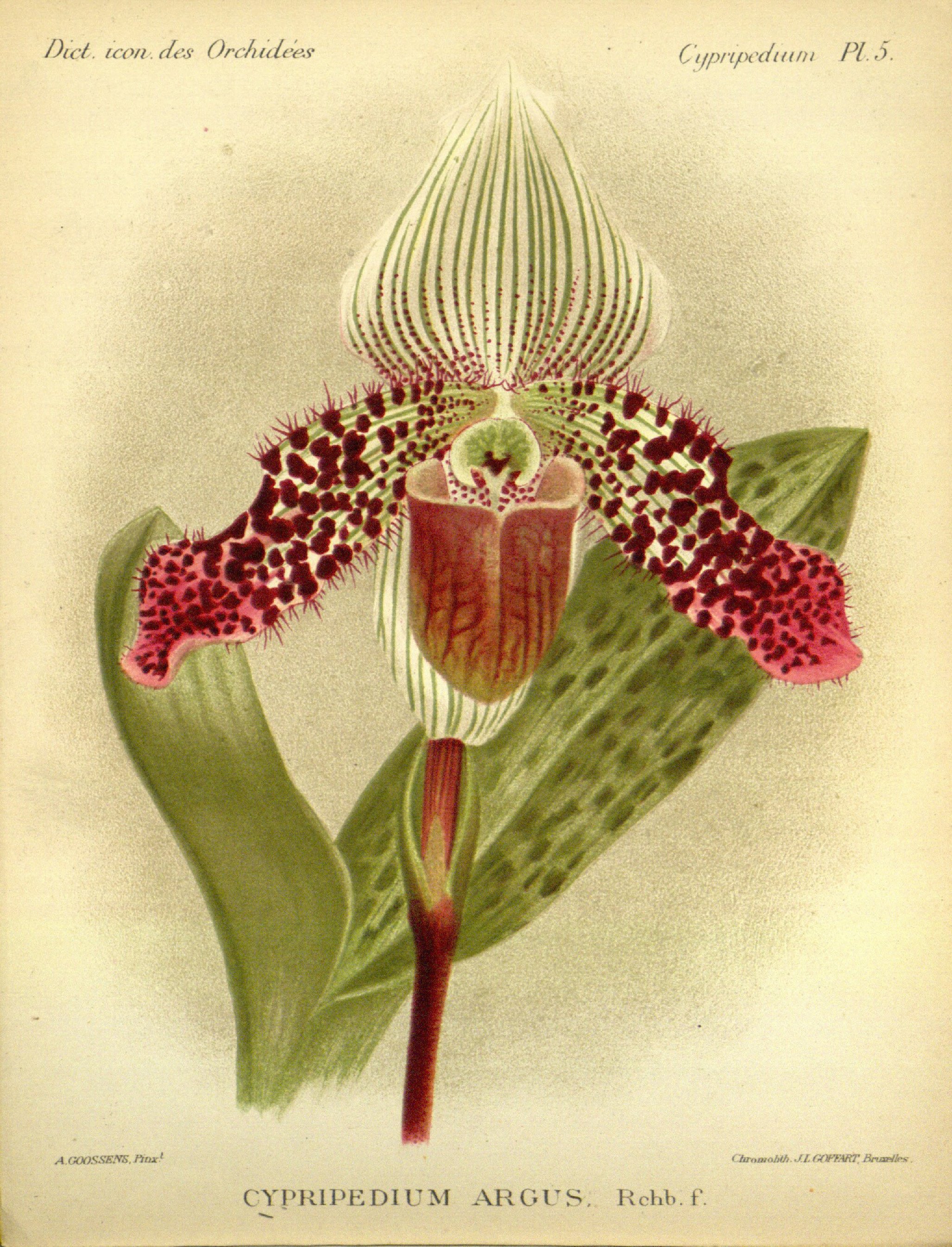 no full size  illustration available (3a)