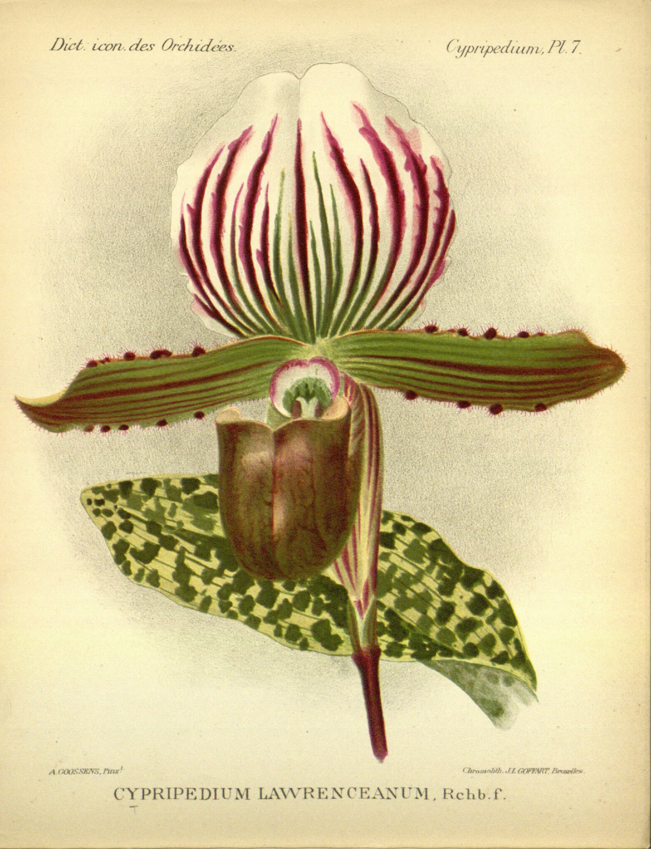 no full size  illustration available (3a)