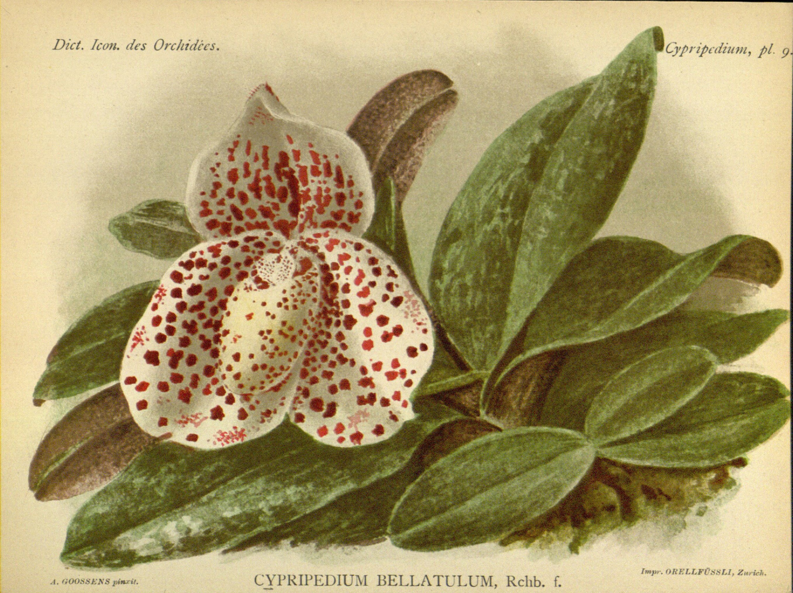 no full size  illustration available (3a)