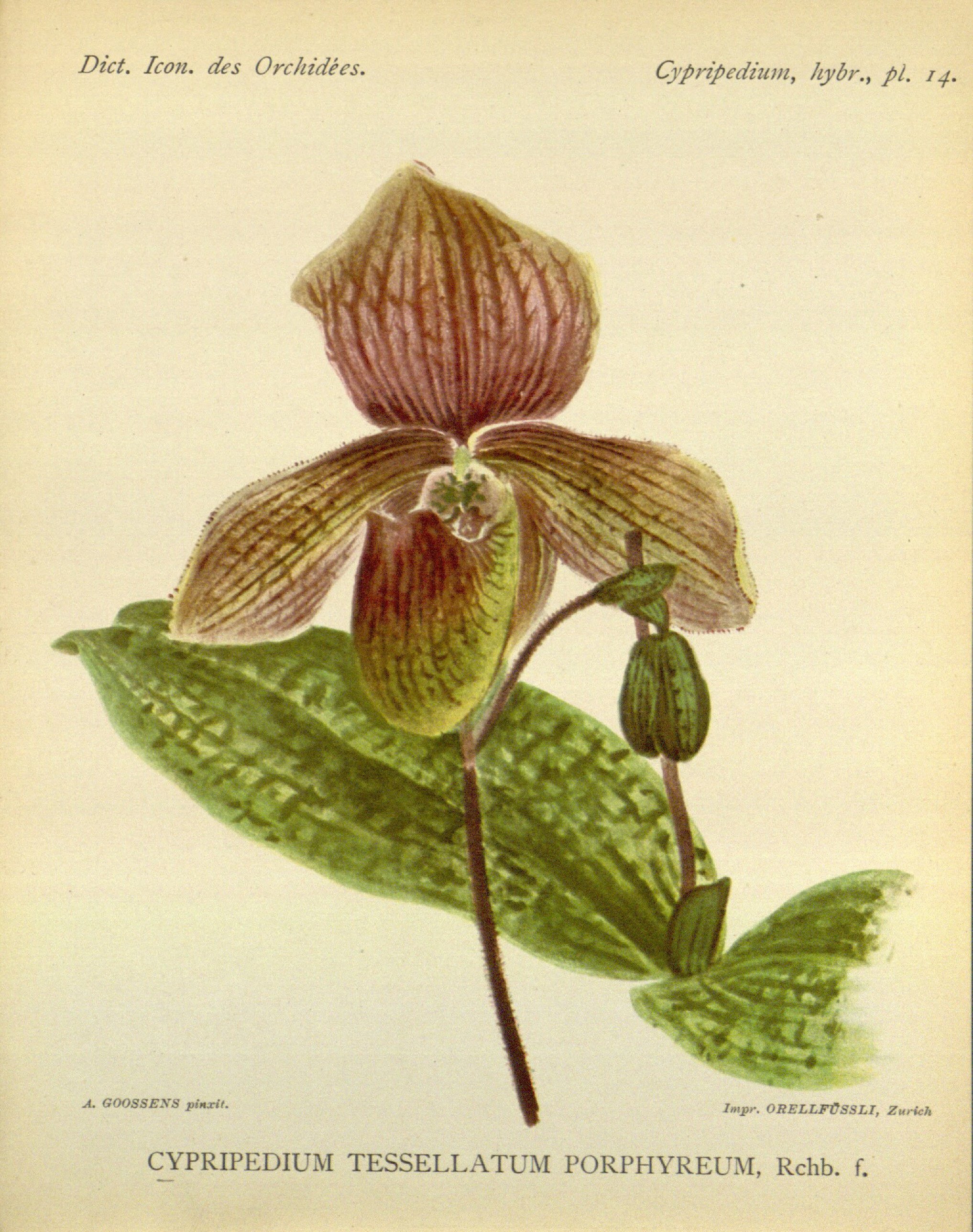 no full size  illustration available (3a)