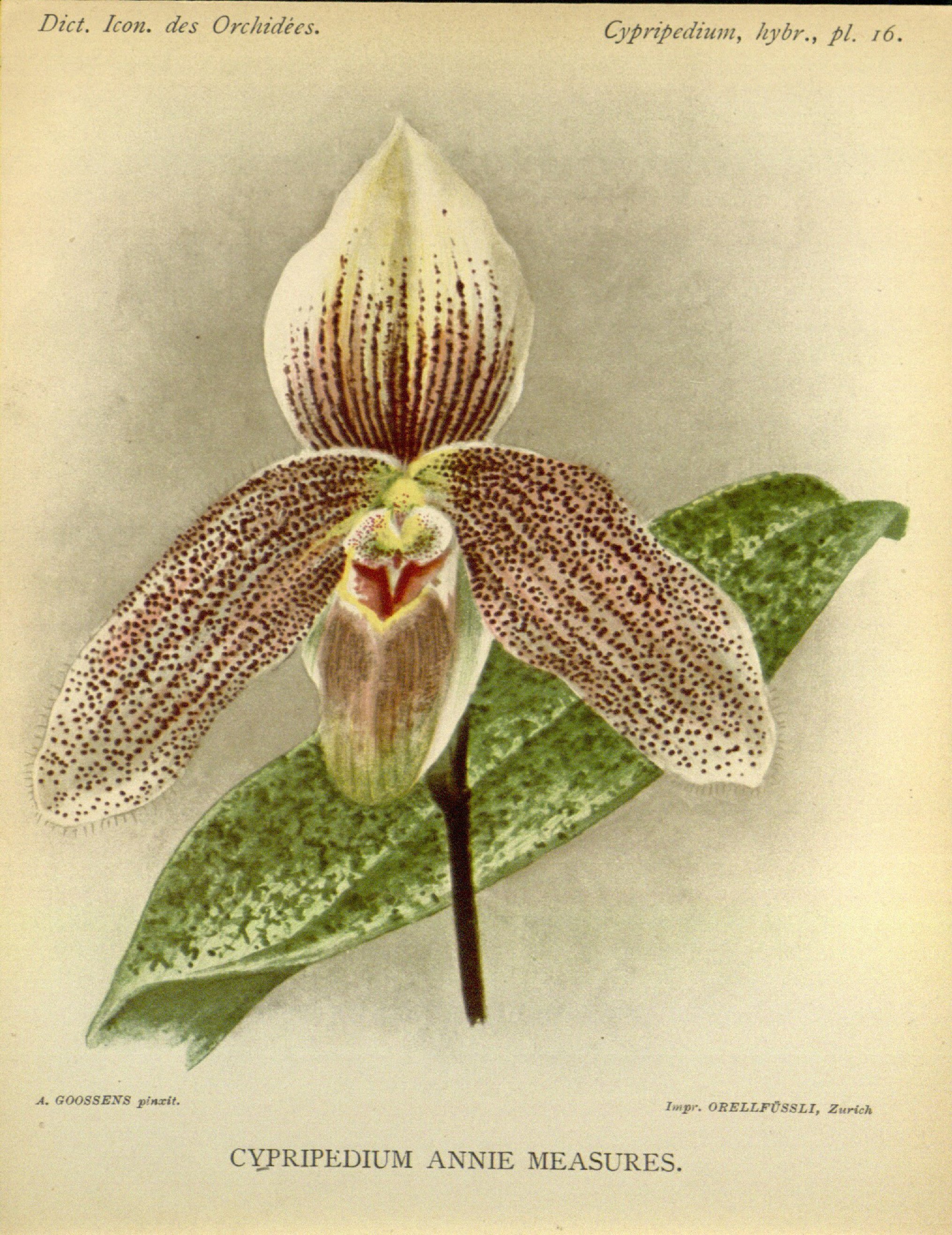 no full size  illustration available (3a)