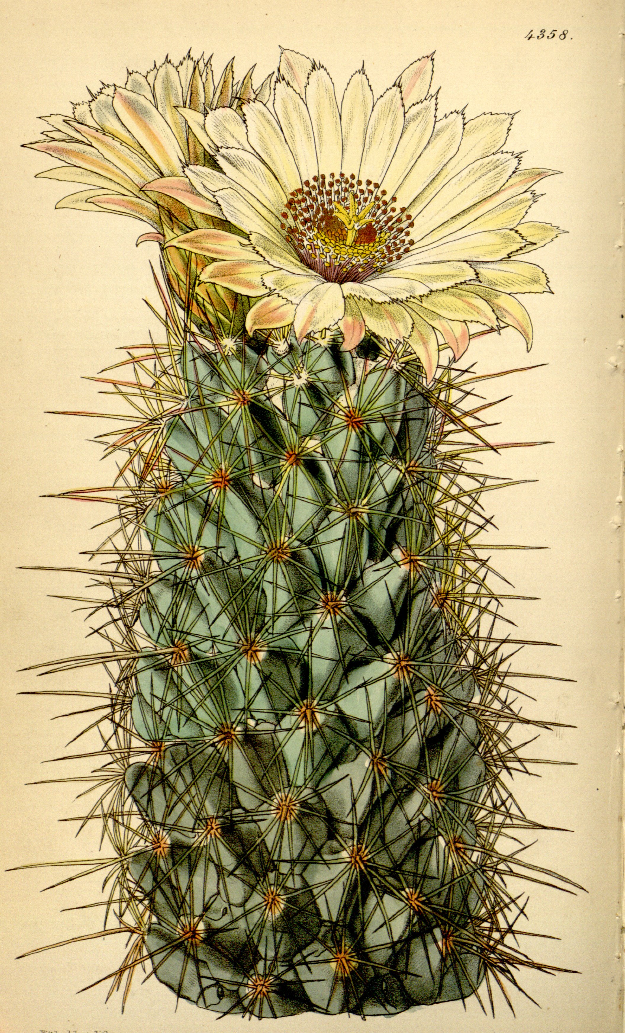 no full size  illustration available (3a)