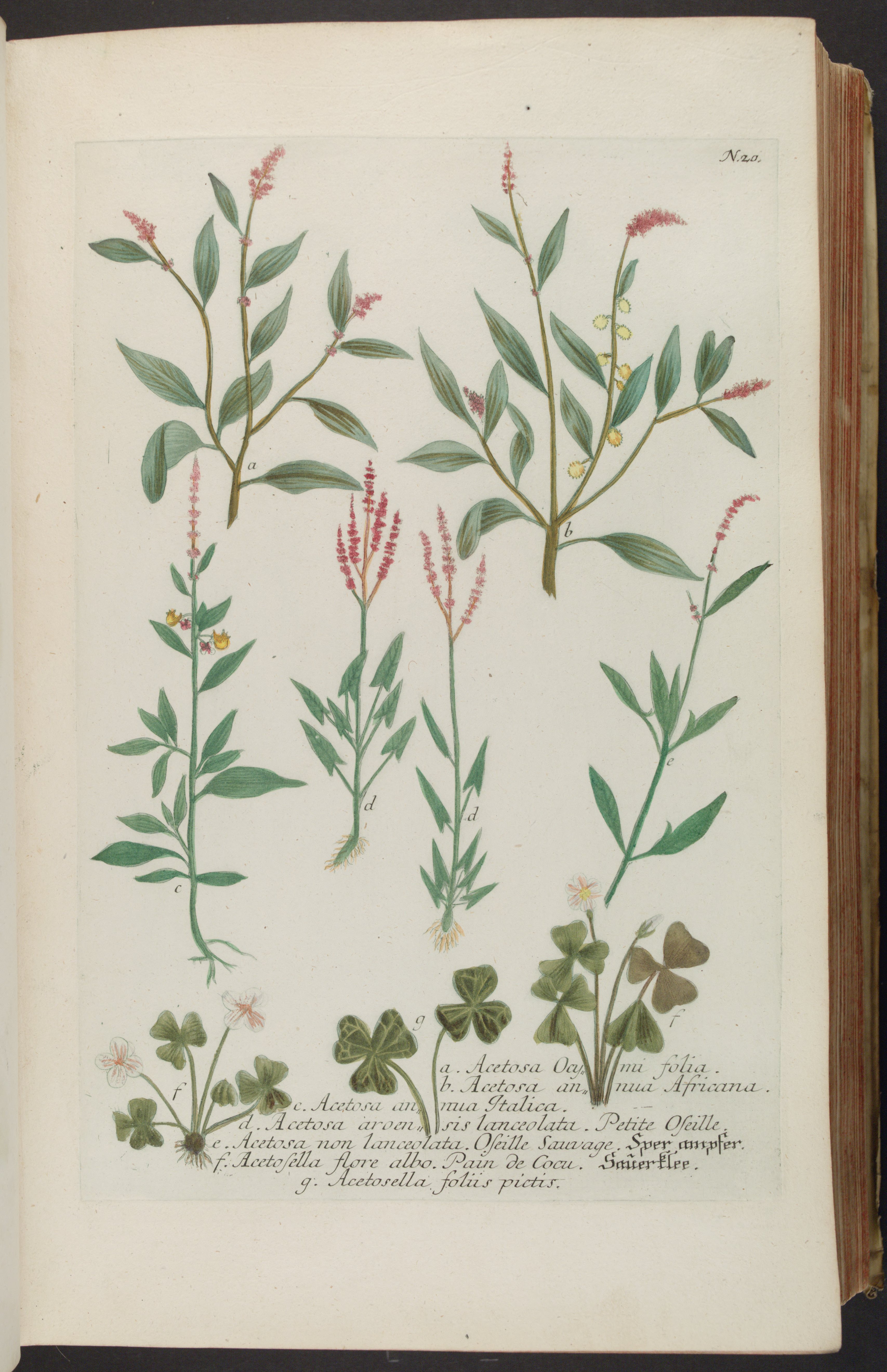 no full size  illustration available (3a)