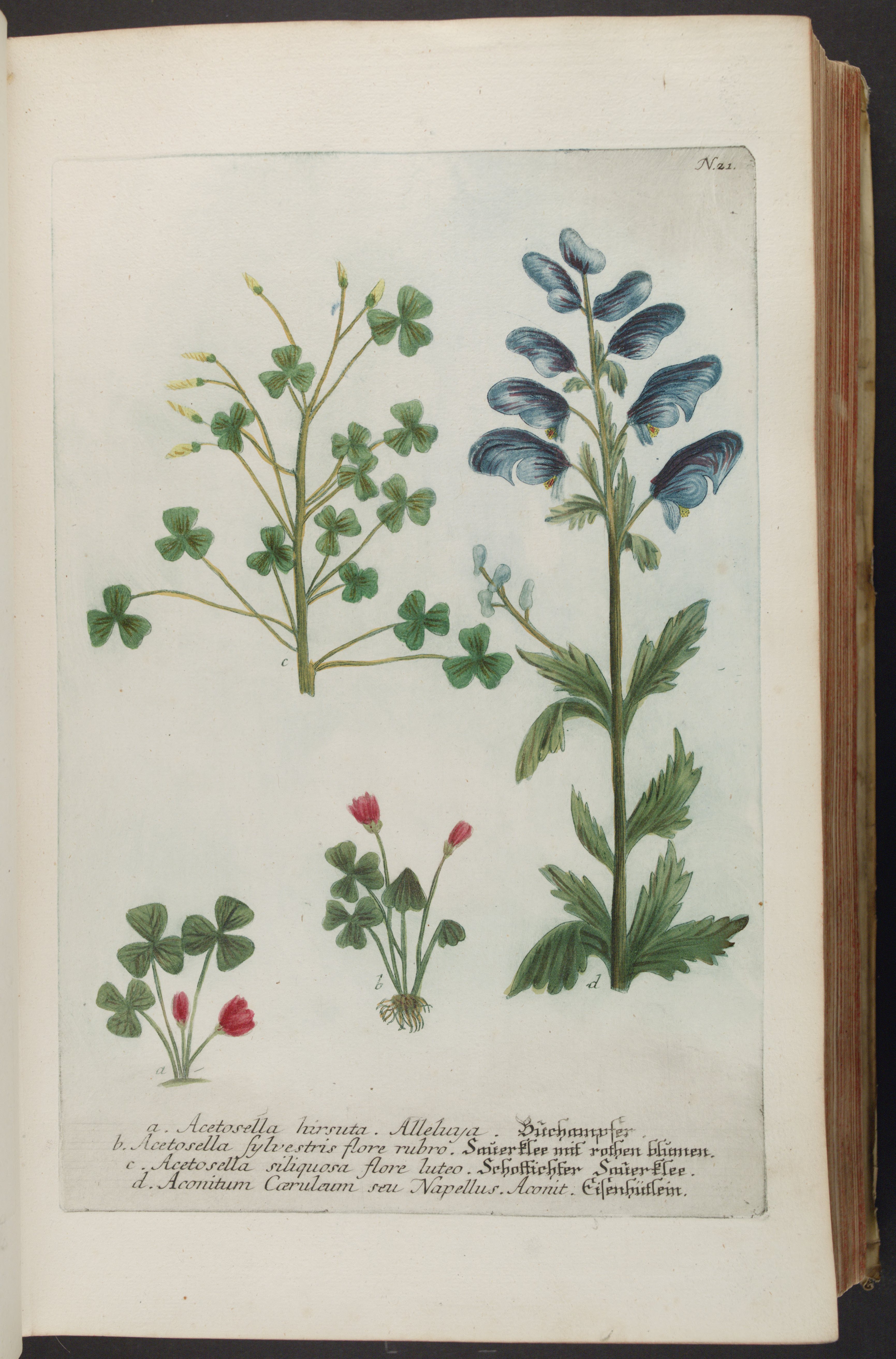 no full size  illustration available (3a)