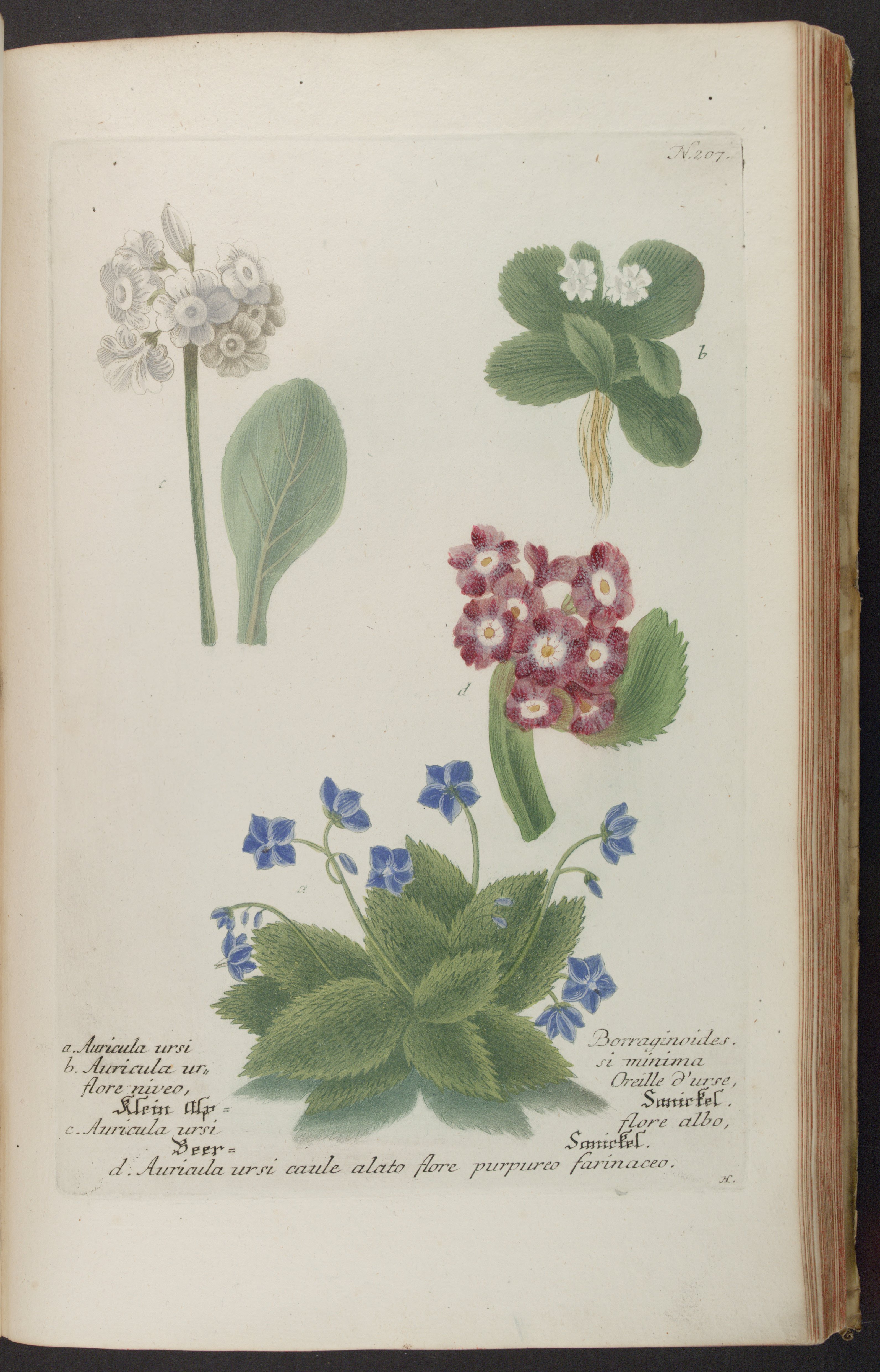 no full size  illustration available (3a)