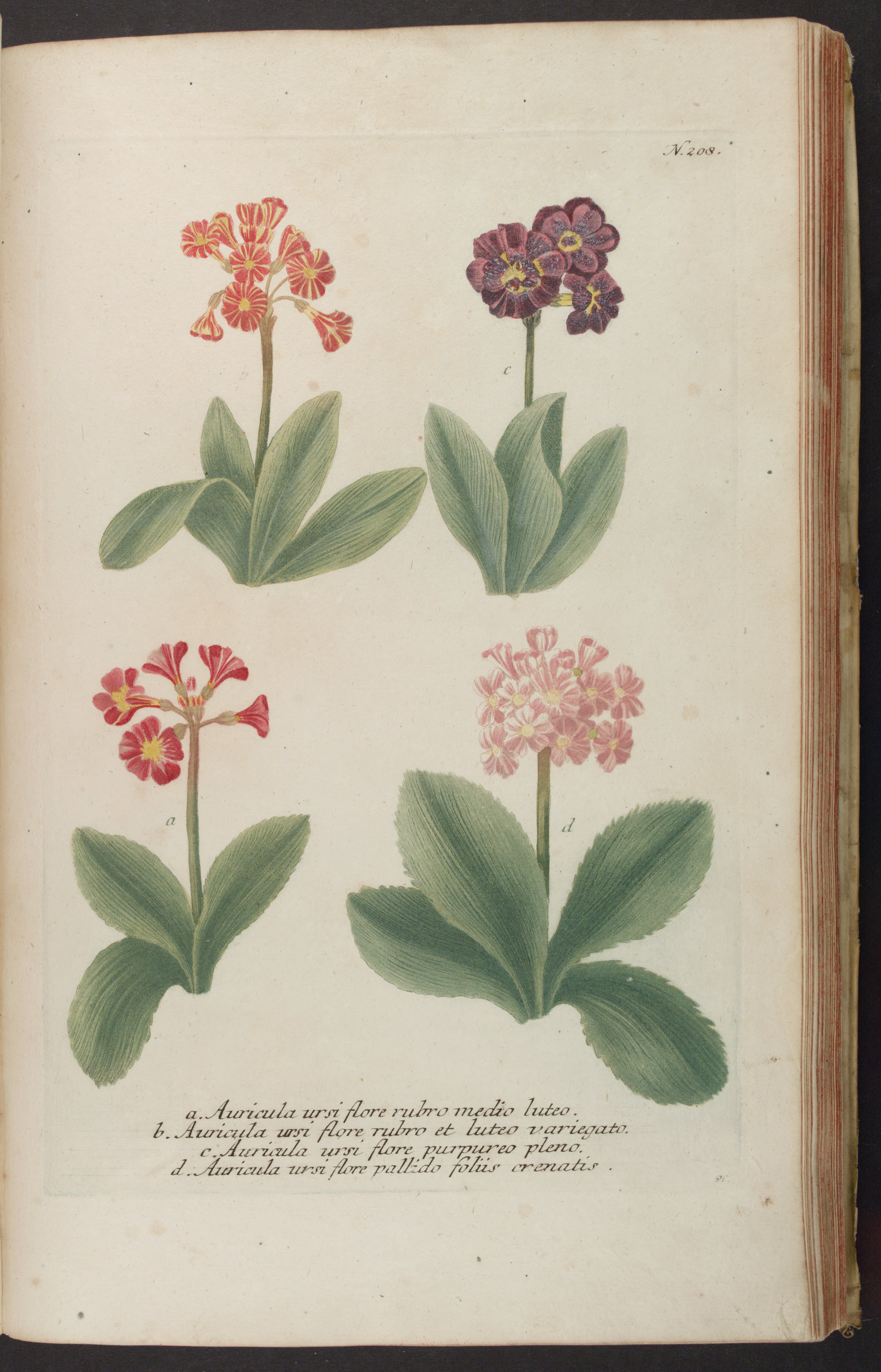 no full size  illustration available (3a)