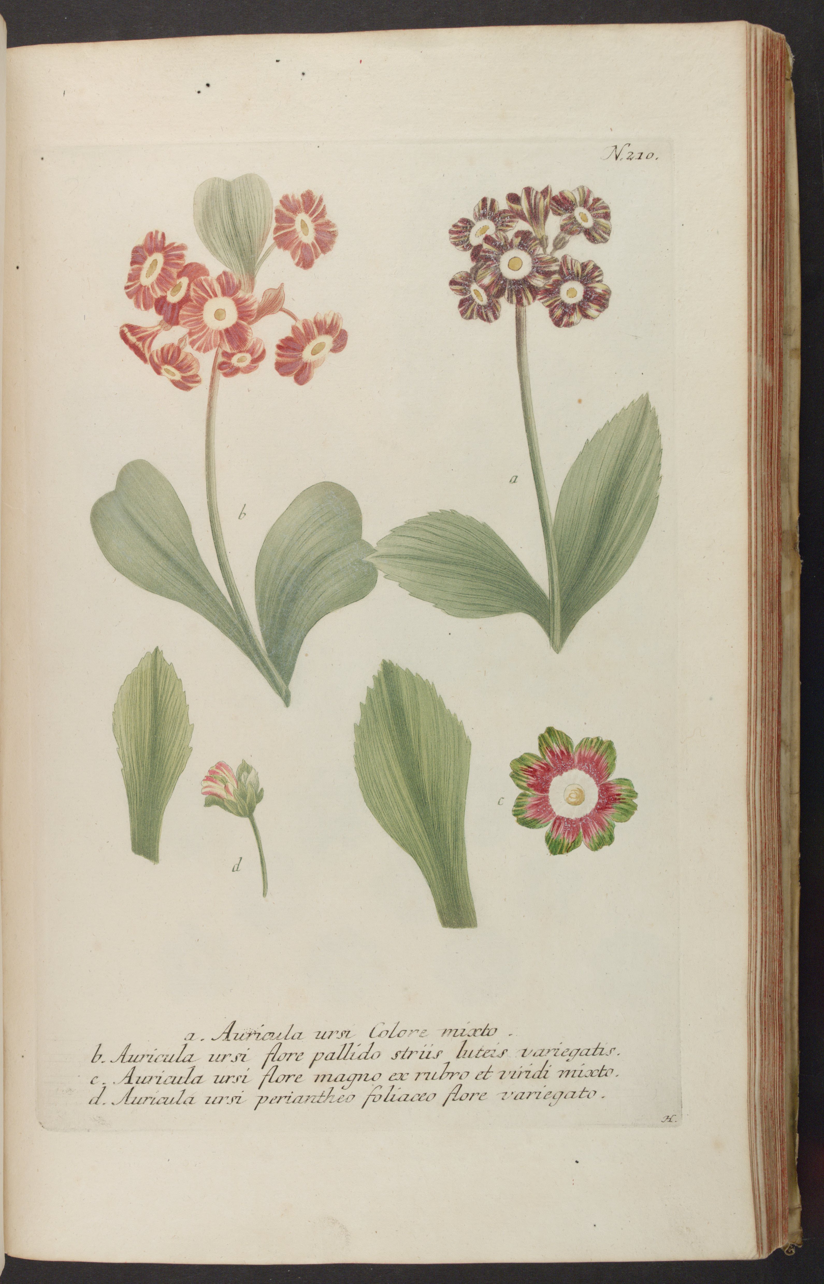 no full size  illustration available (3a)