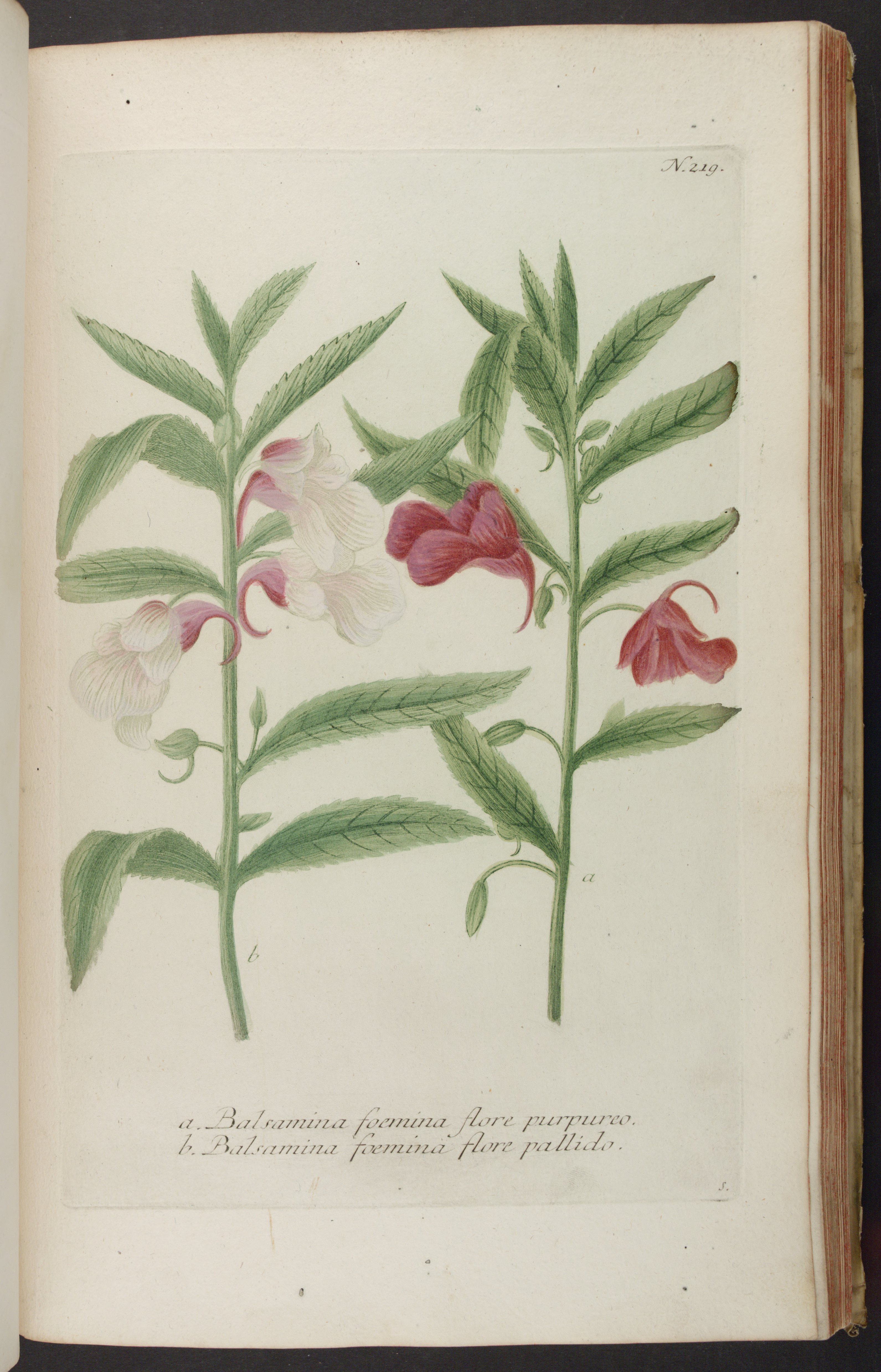 no full size  illustration available (3a)