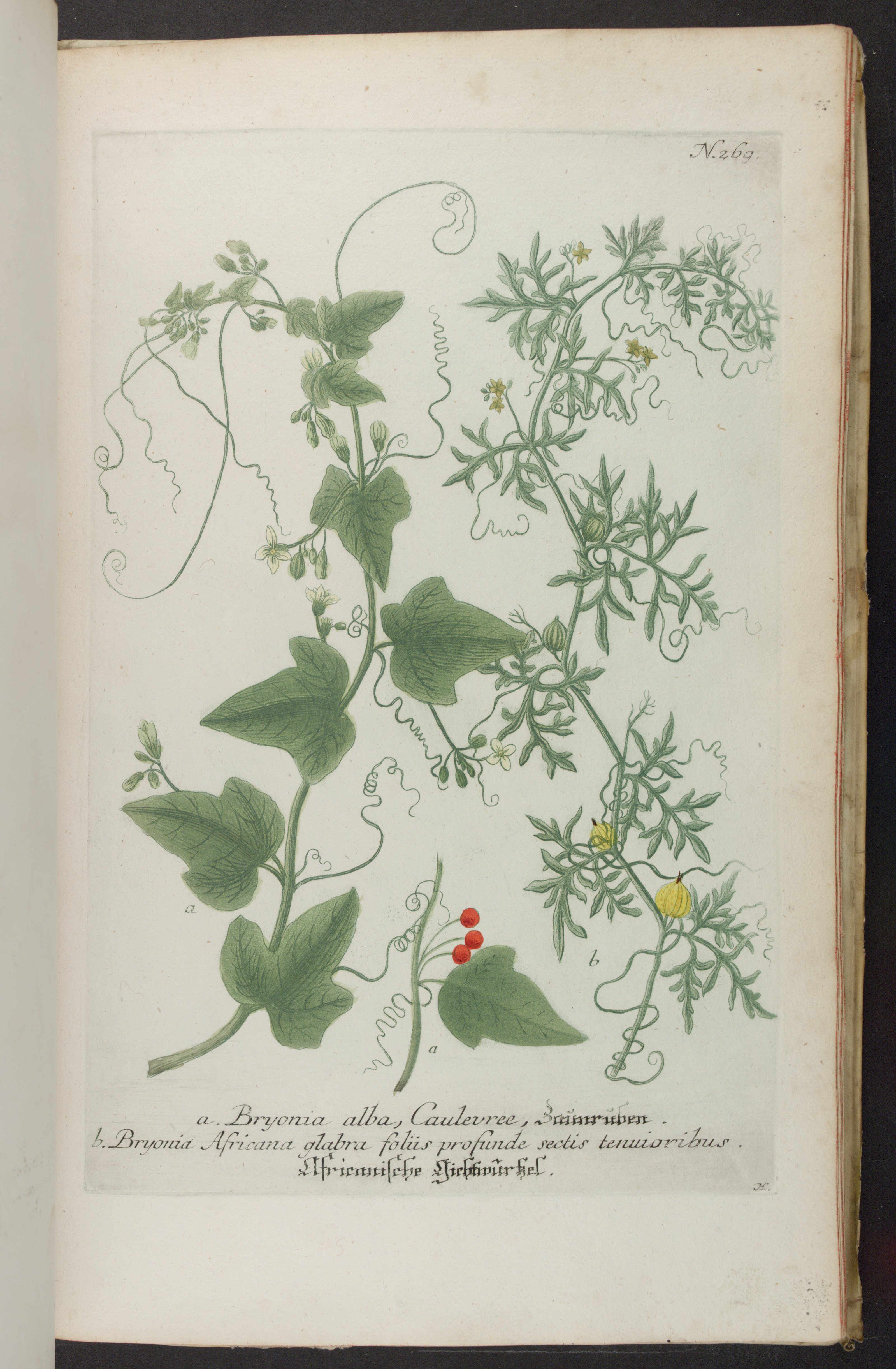 no full size  illustration available (3a)