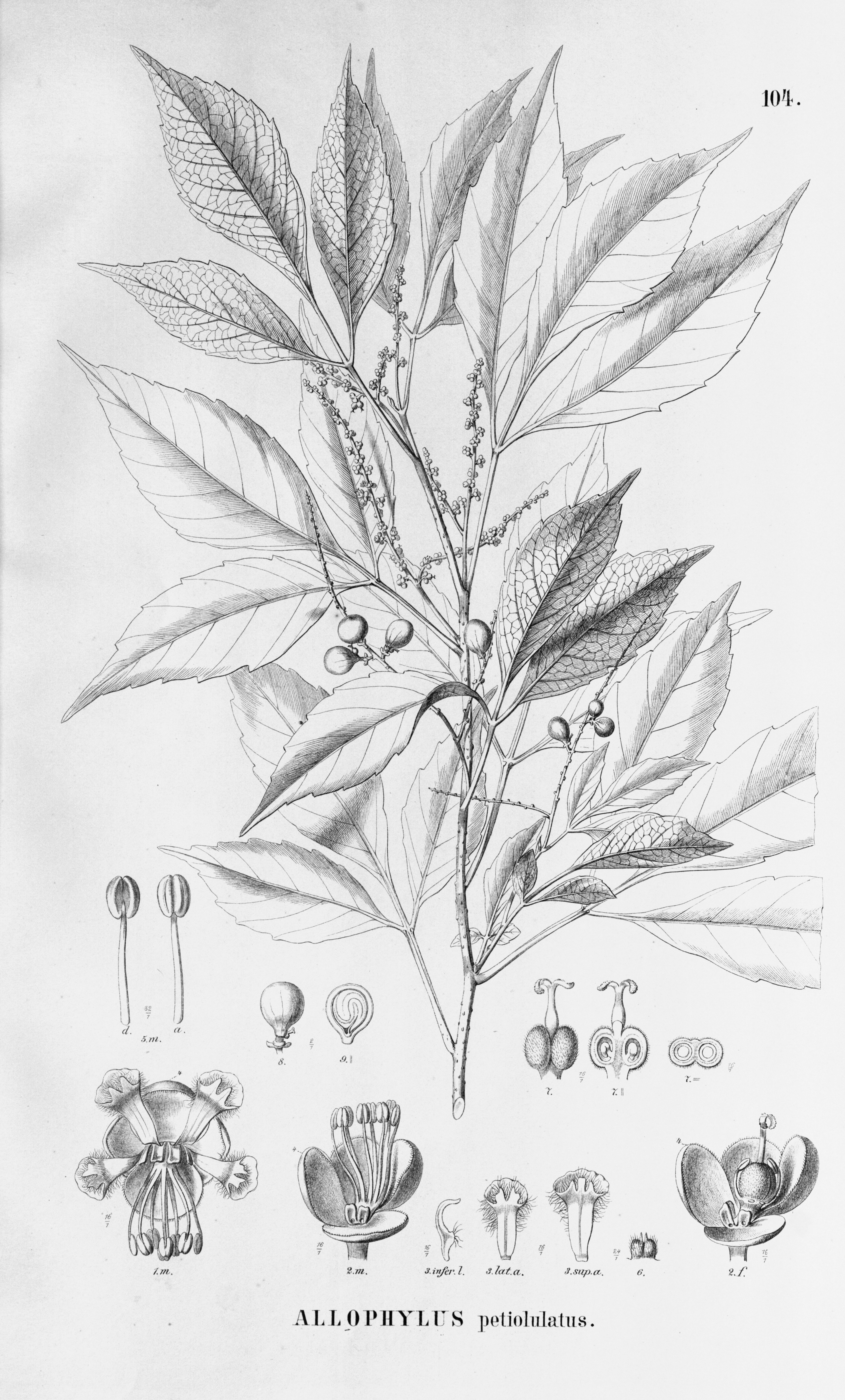 no full size  illustration available (3a)